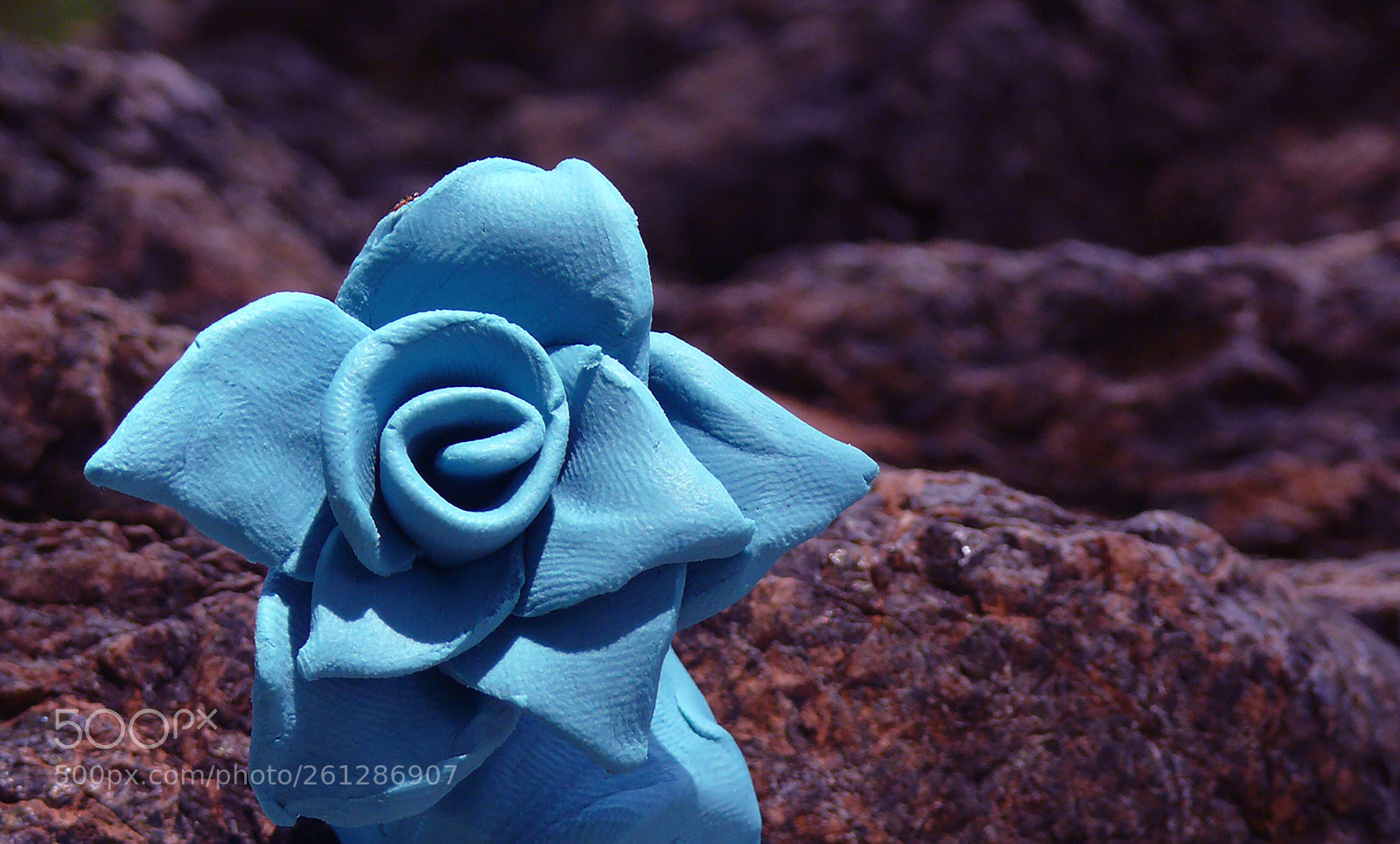 Panasonic DMC-FZ50 sample photo. Blue clay flower 2 photography