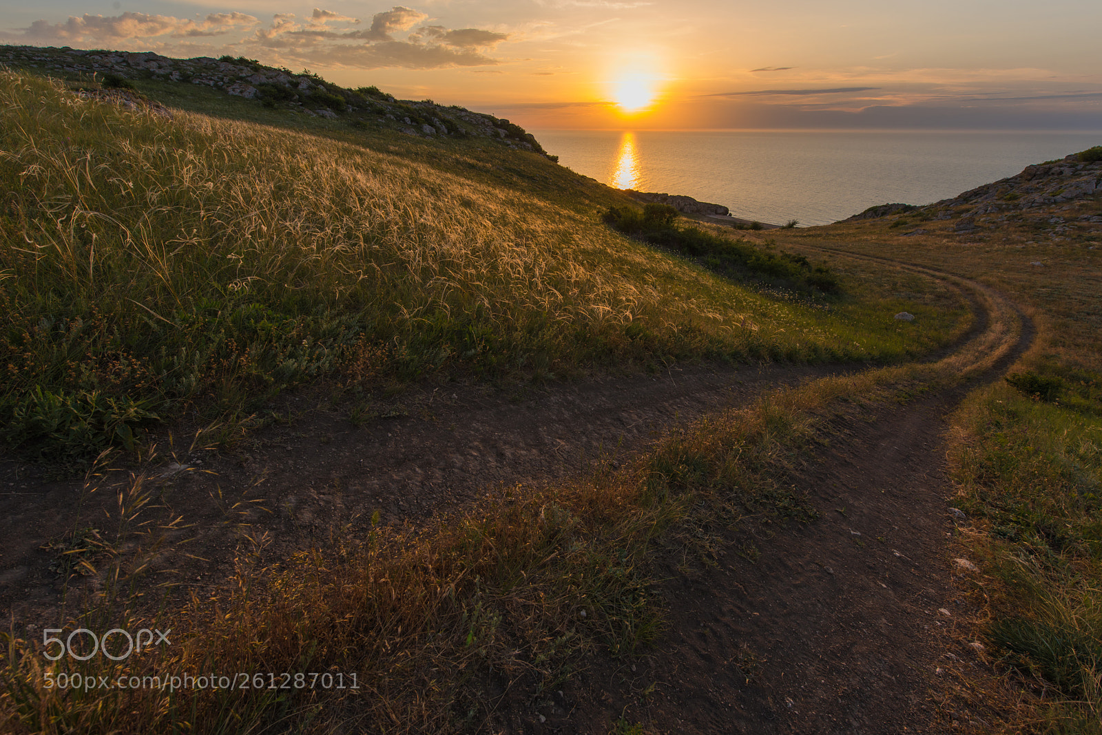 Nikon D810 sample photo. Way to the sea photography