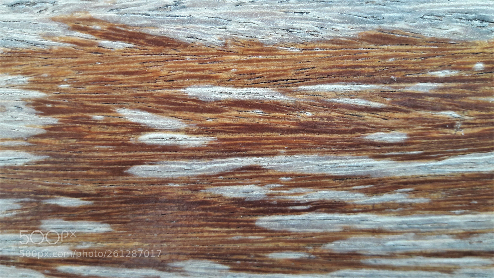 Samsung Galaxy J7 sample photo. Piece of wood photography