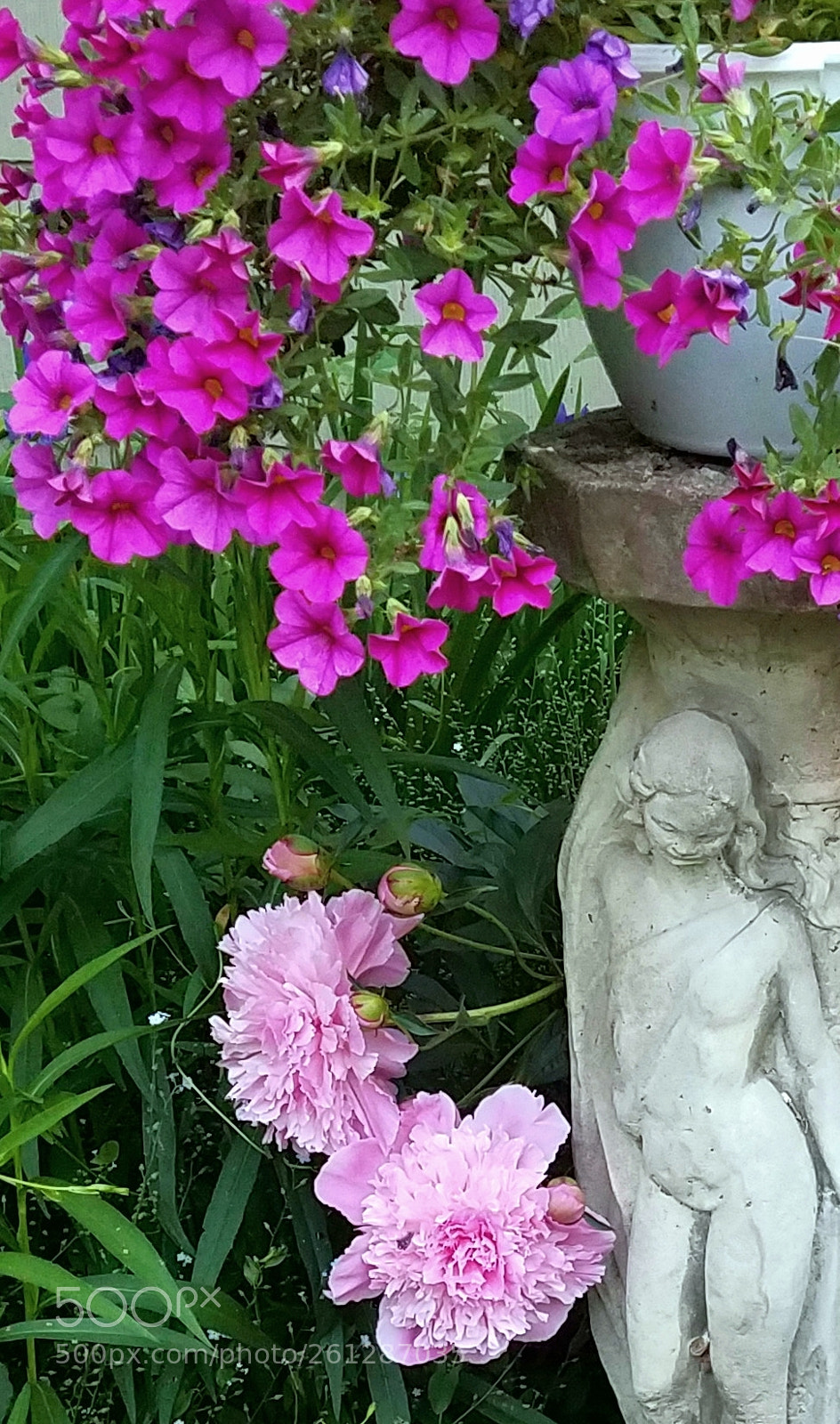 Samsung Galaxy S7 sample photo. Untitled photography