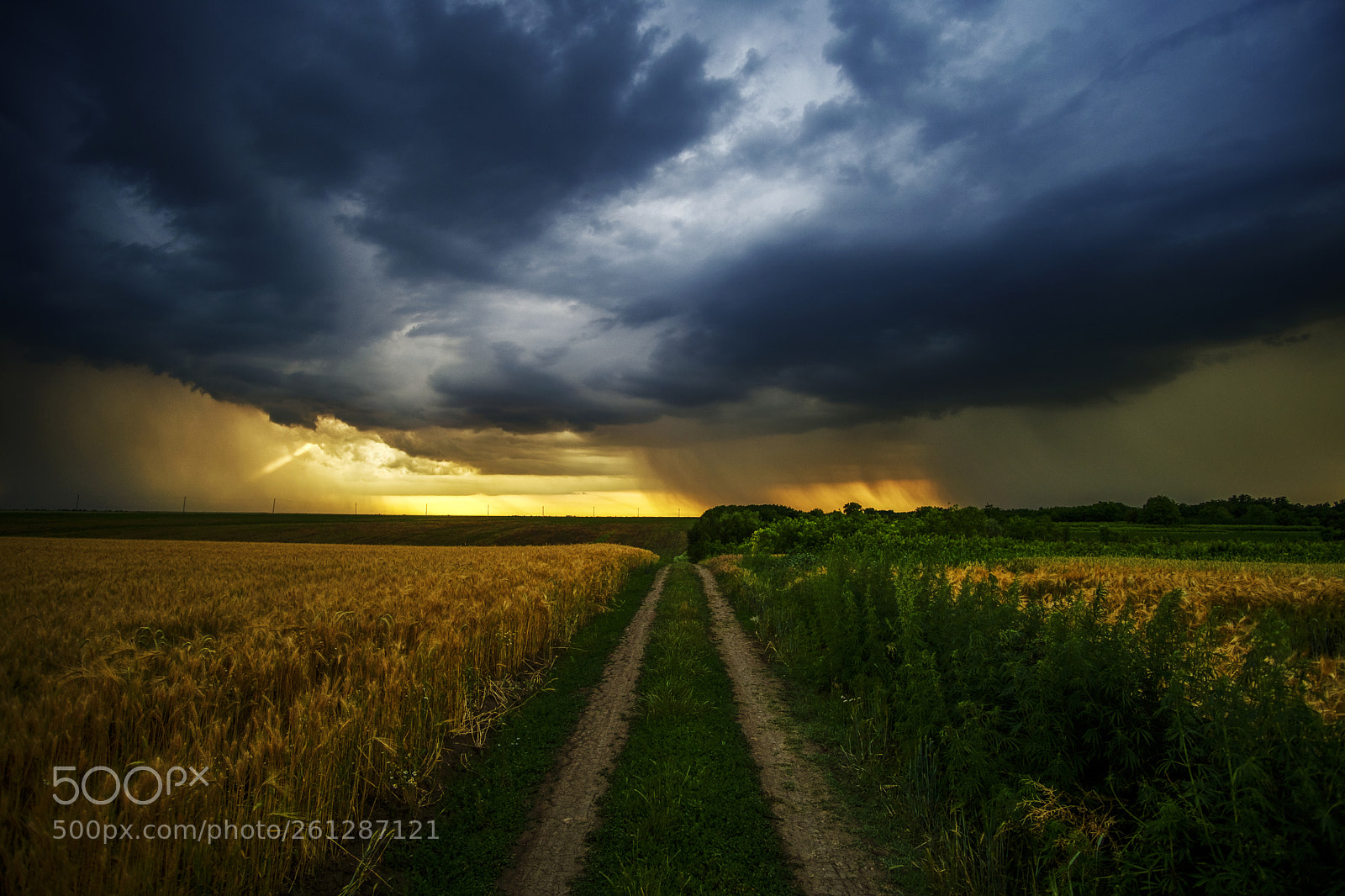 Fujifilm X-T2 sample photo. Waiting for the storm photography