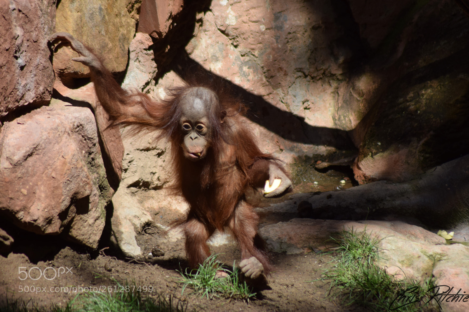 Nikon D3300 sample photo. Finding his feet photography