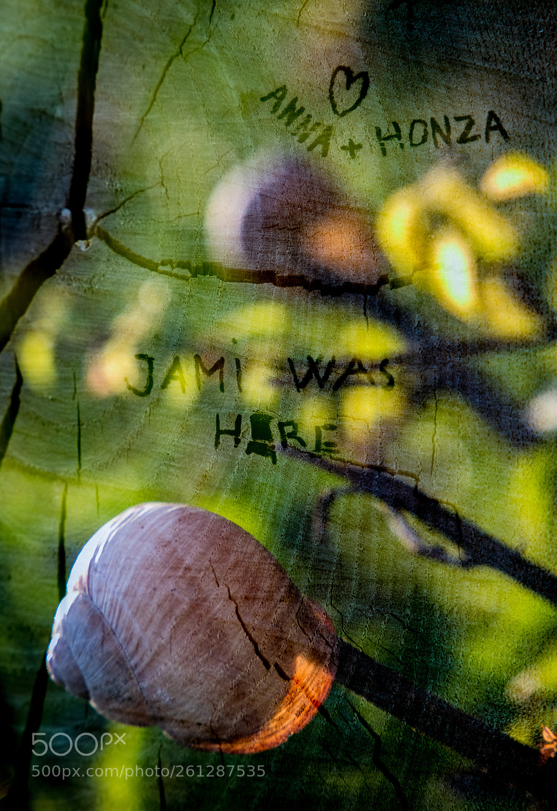 Canon EOS 6D Mark II sample photo. Jami was here photography