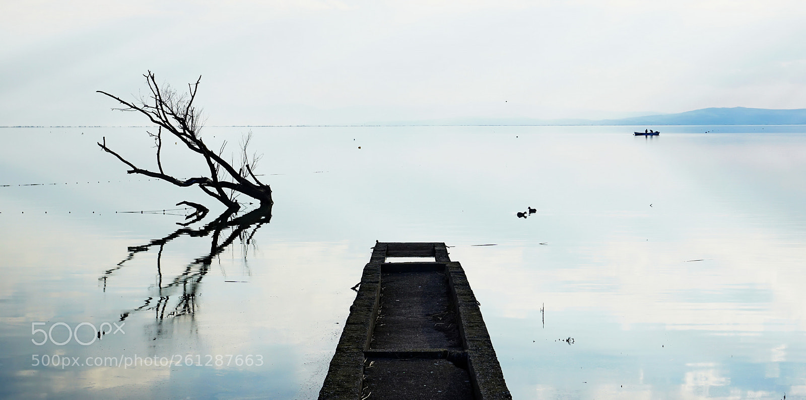 Sony a6000 sample photo. Lake life photography