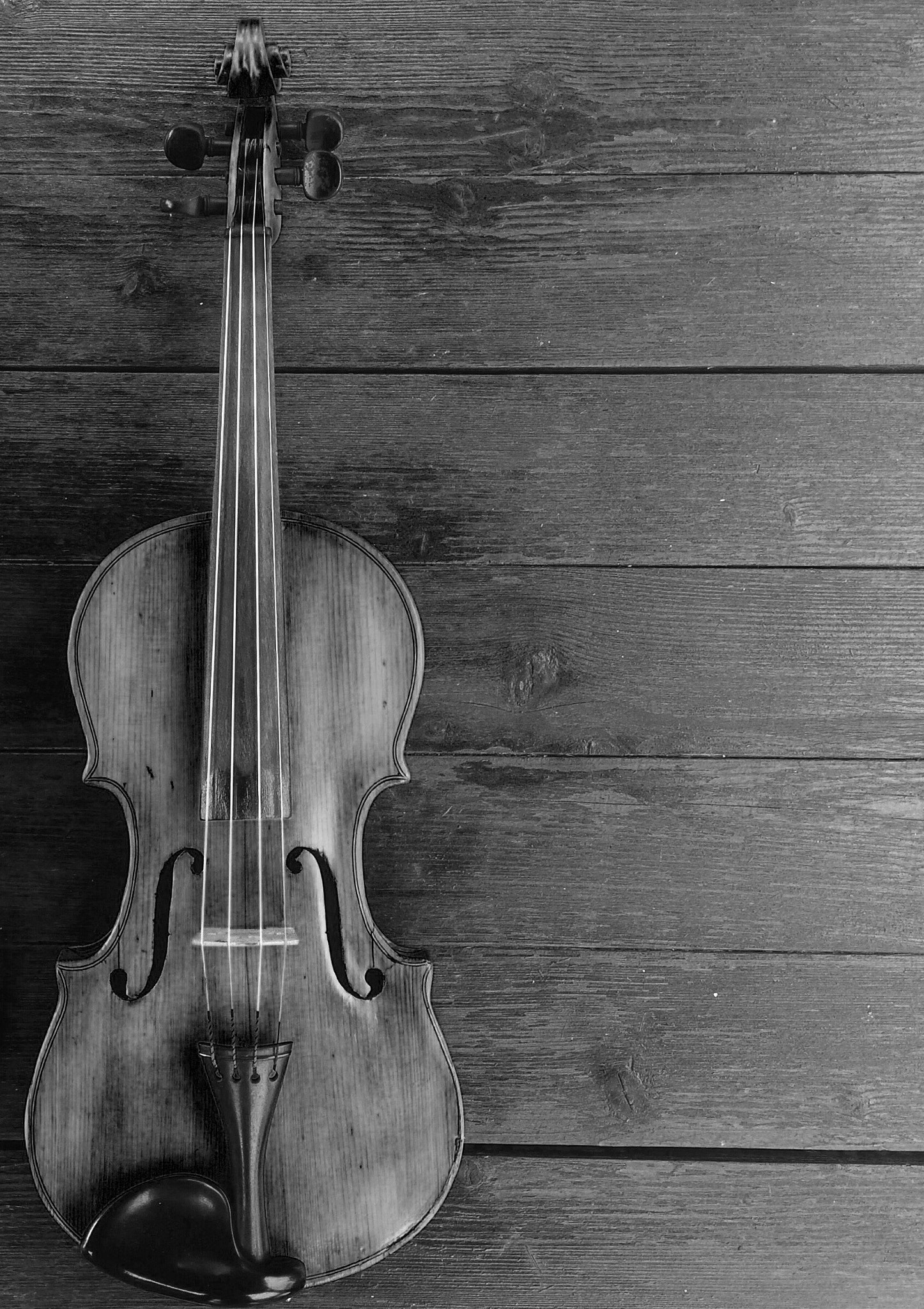 Blackie Camera sample photo. Violin 😍 photography