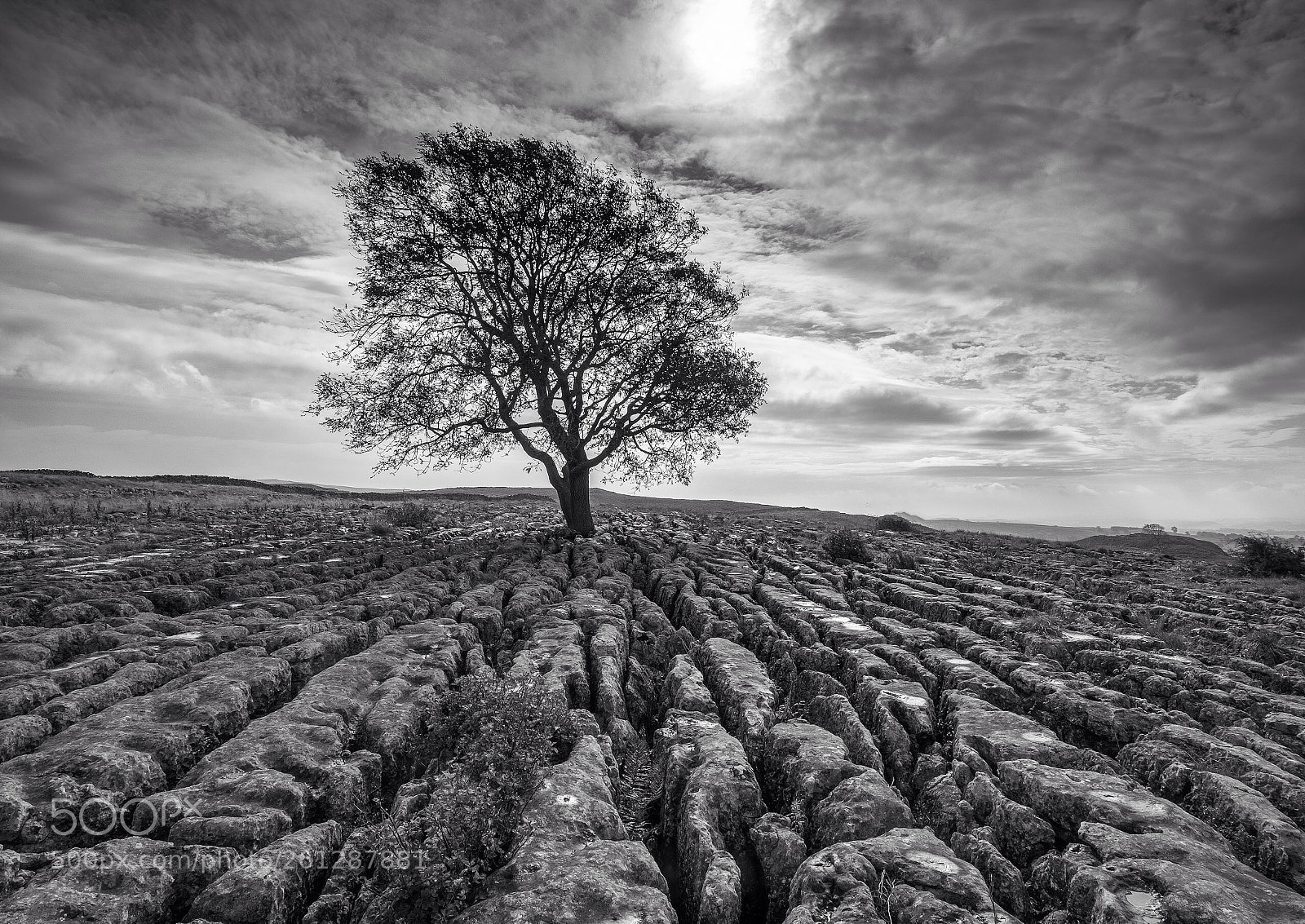 Fujifilm X-T2 sample photo. Lone tree, malham photography