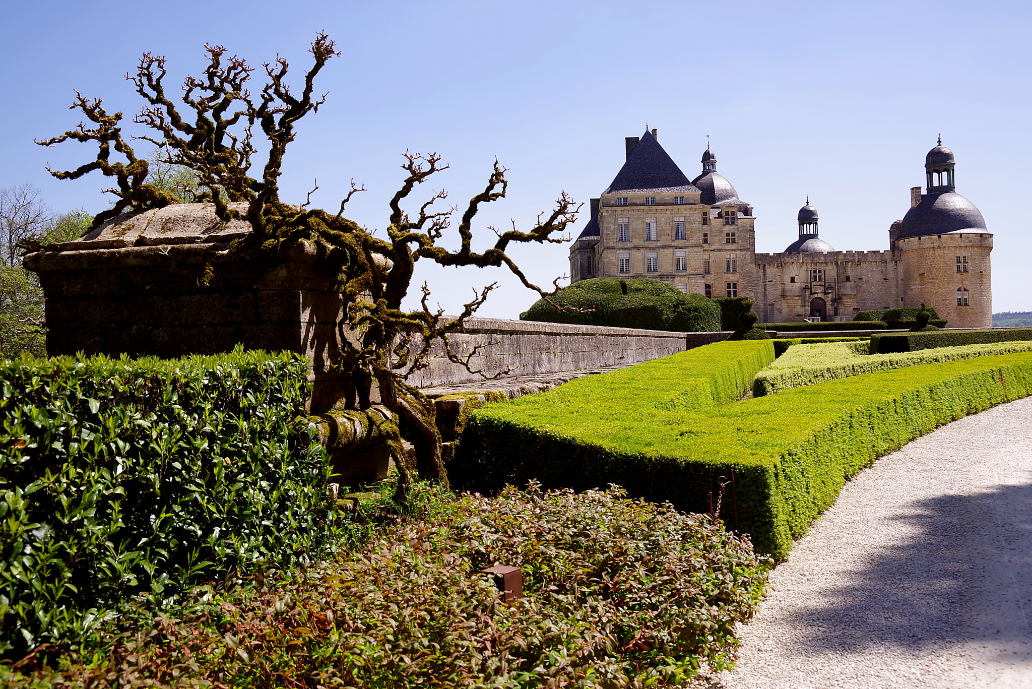 HD PENTAX-D FA 28-105mm F3.5-5.6 ED DC WR sample photo. Château de hautefort photography