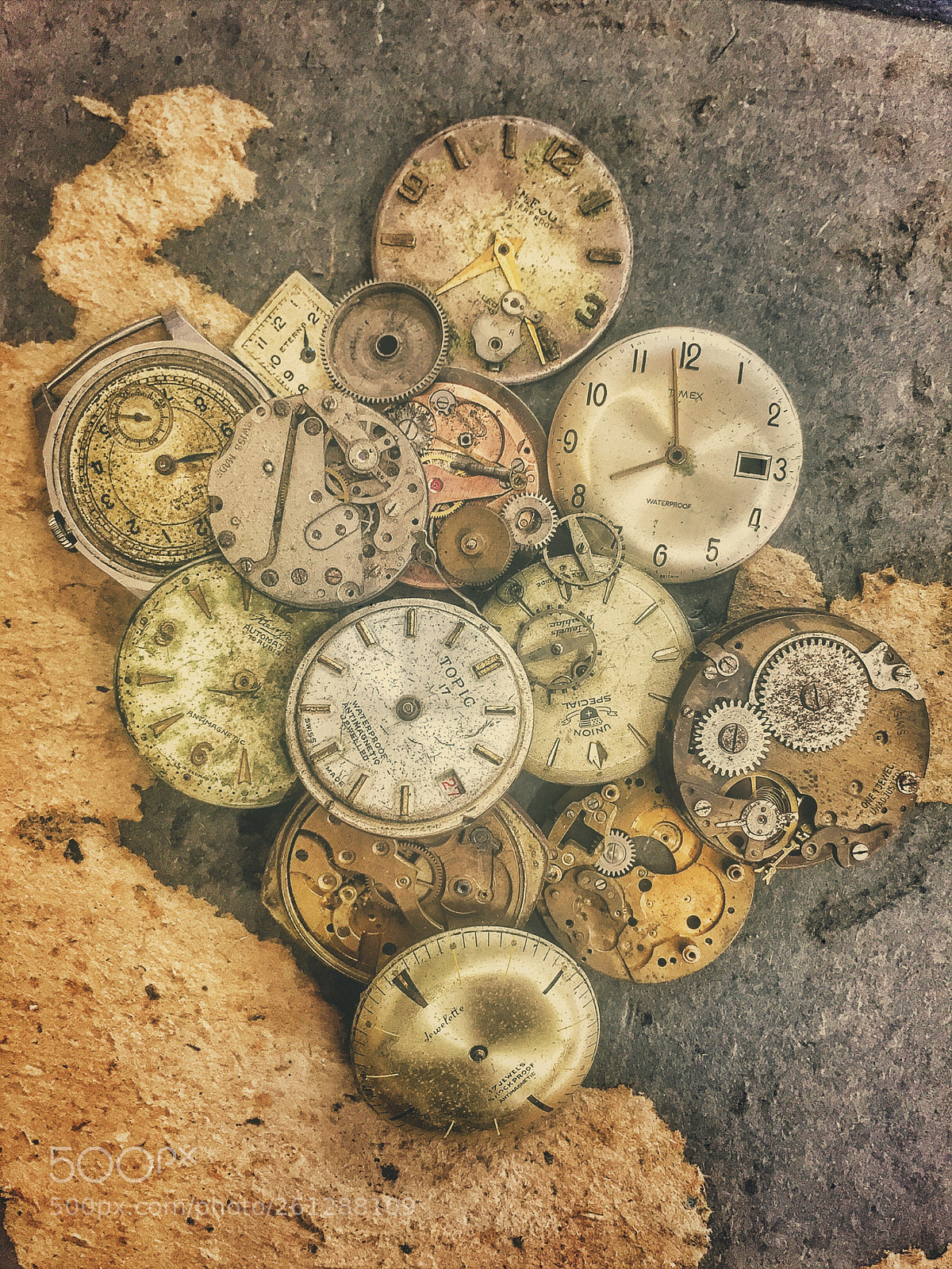 Apple iPhone 6 sample photo. Forgotten time - iphone6 photography