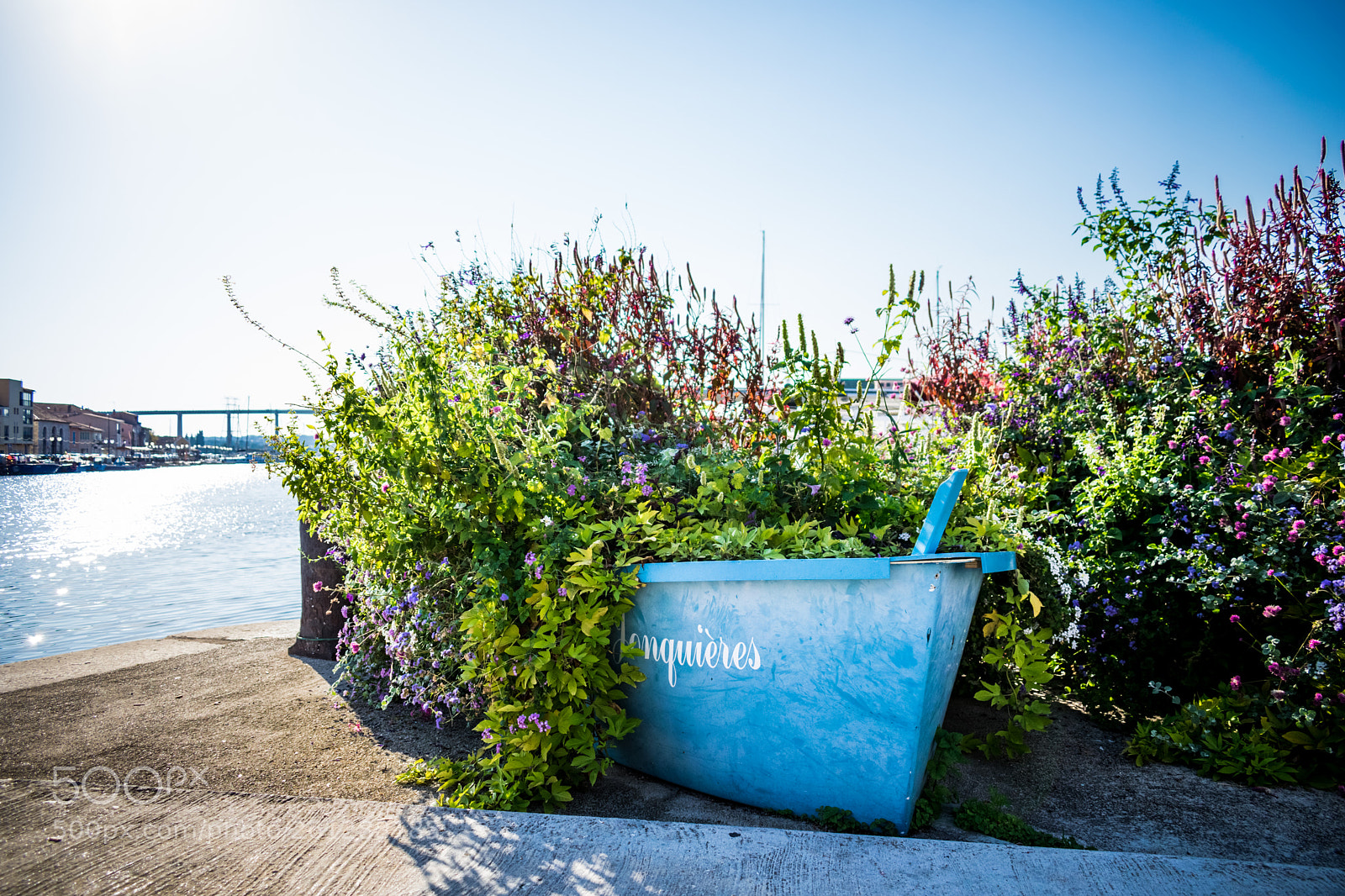 Nikon D5300 sample photo. City decoration photography