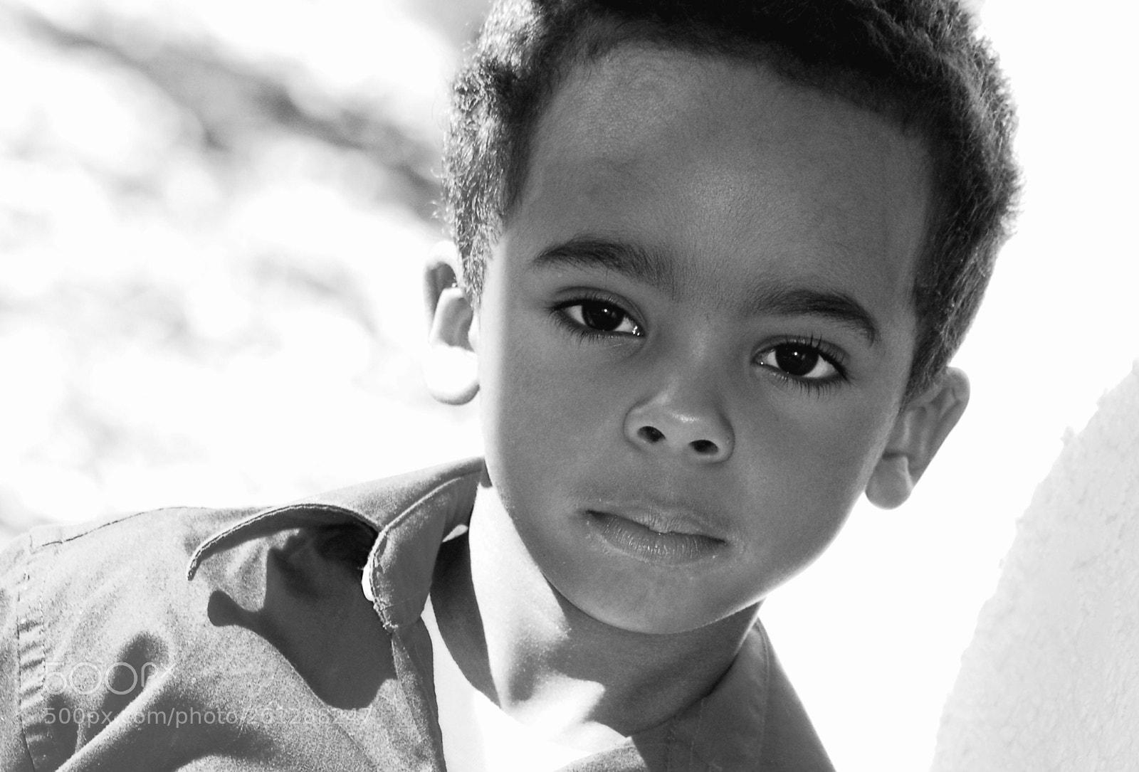 Nikon D80 sample photo. Untitled photography