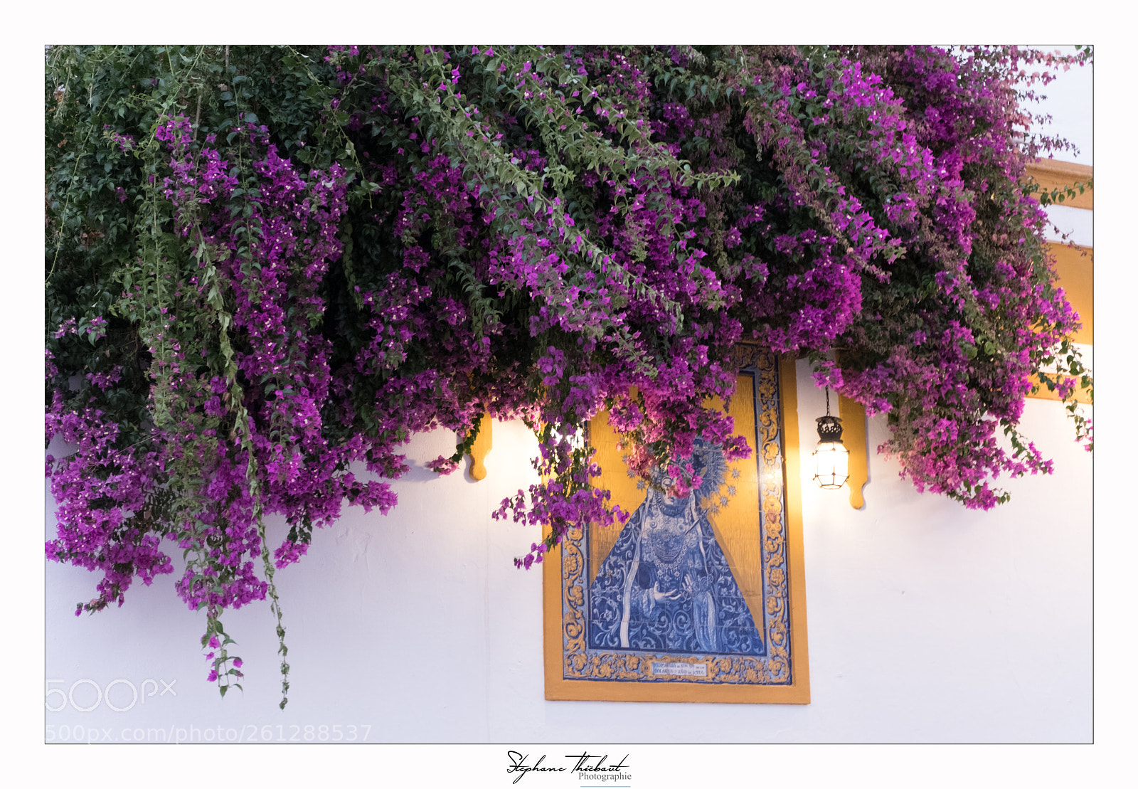 Fujifilm X-T2 sample photo. Icône fleurie photography