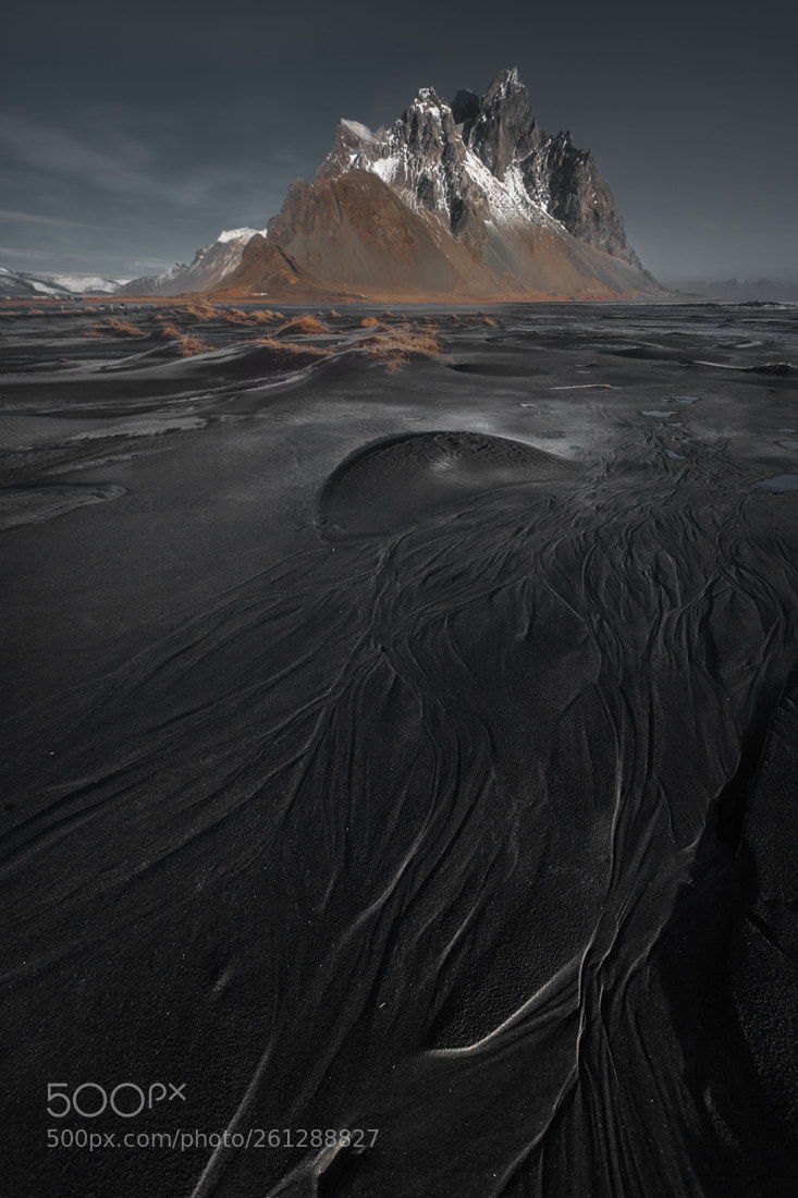 Canon EOS 5D sample photo. The roots of iceland photography