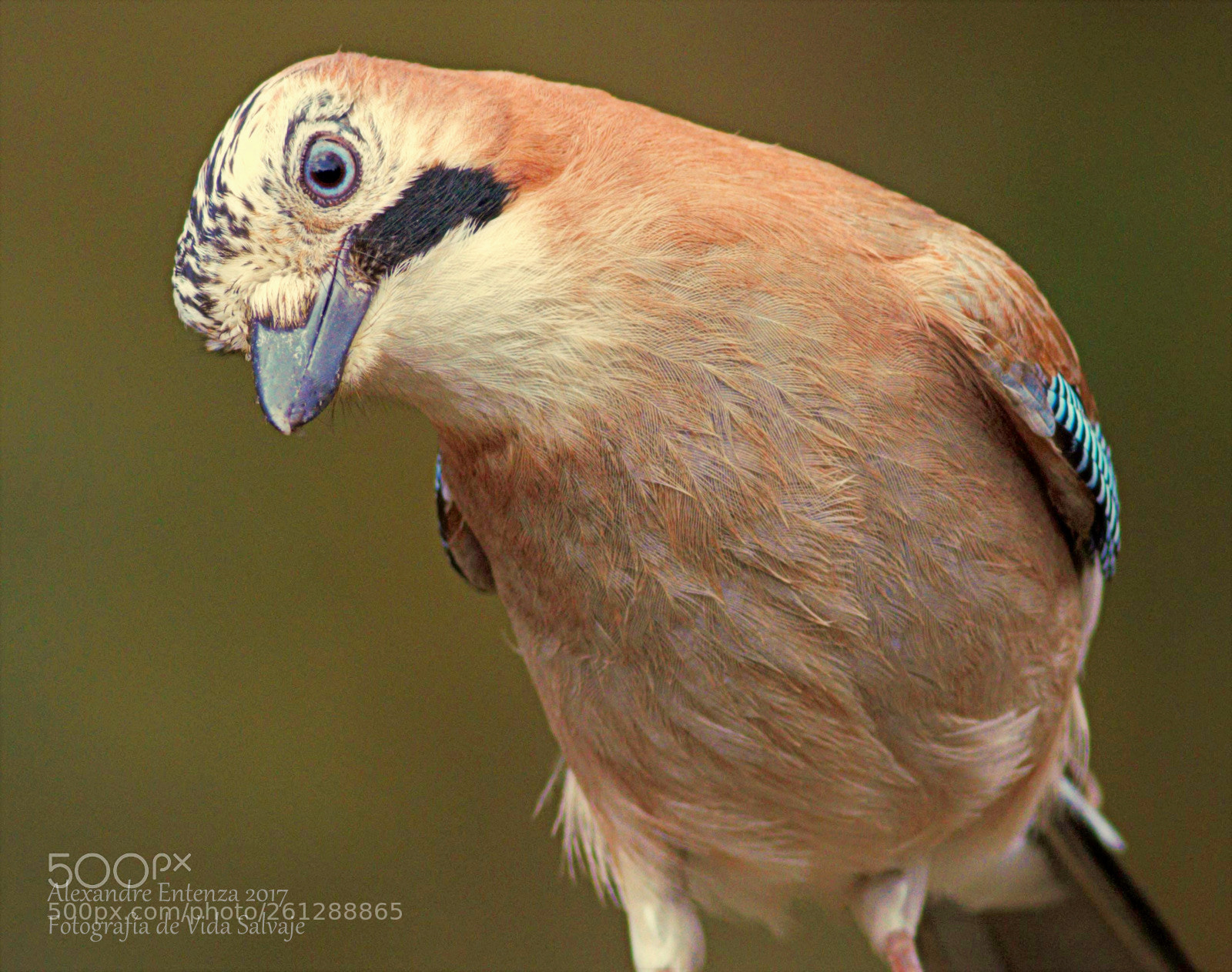 Canon EOS 7D sample photo. Untitled photography