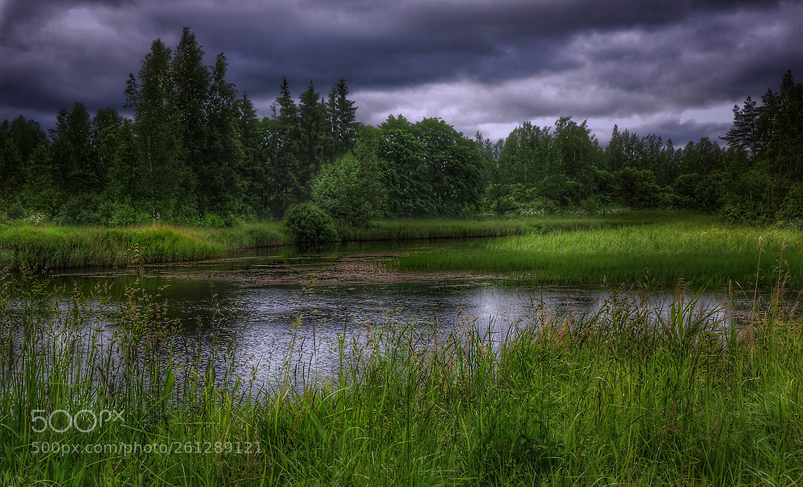 Canon EOS 70D sample photo. Перед грозой. before the storm. photography