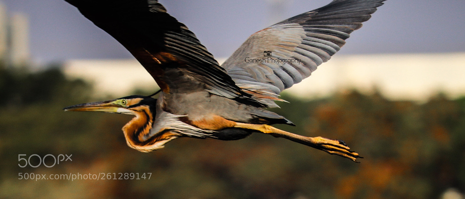 Canon EOS 200D (EOS Rebel SL2 / EOS Kiss X9) sample photo. !!? photography