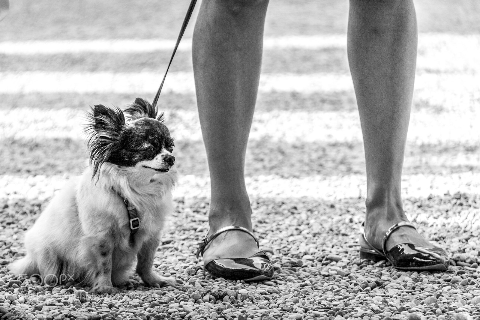 Canon EOS 650D (EOS Rebel T4i / EOS Kiss X6i) sample photo. A view from bottom photography