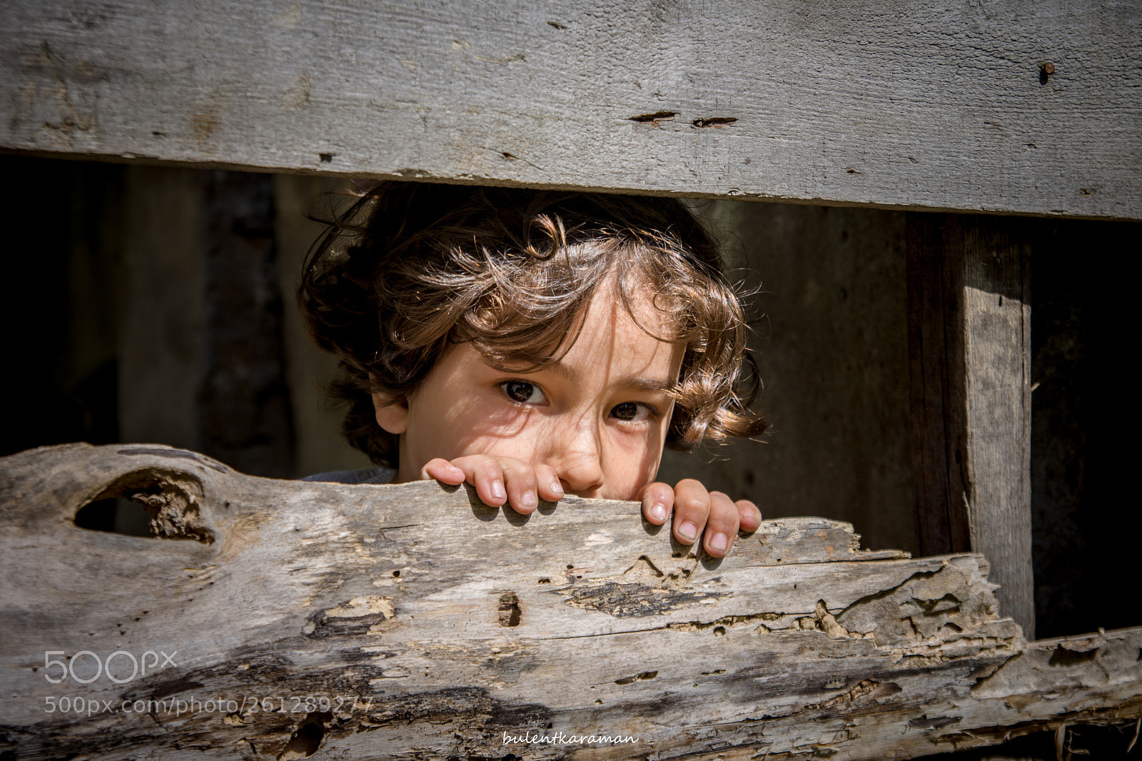 Nikon D7200 sample photo. Untitled photography