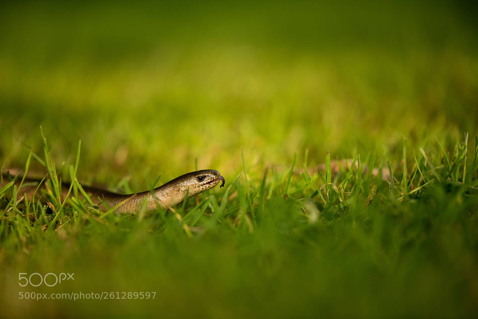 Nikon D810 sample photo. Untitled photography