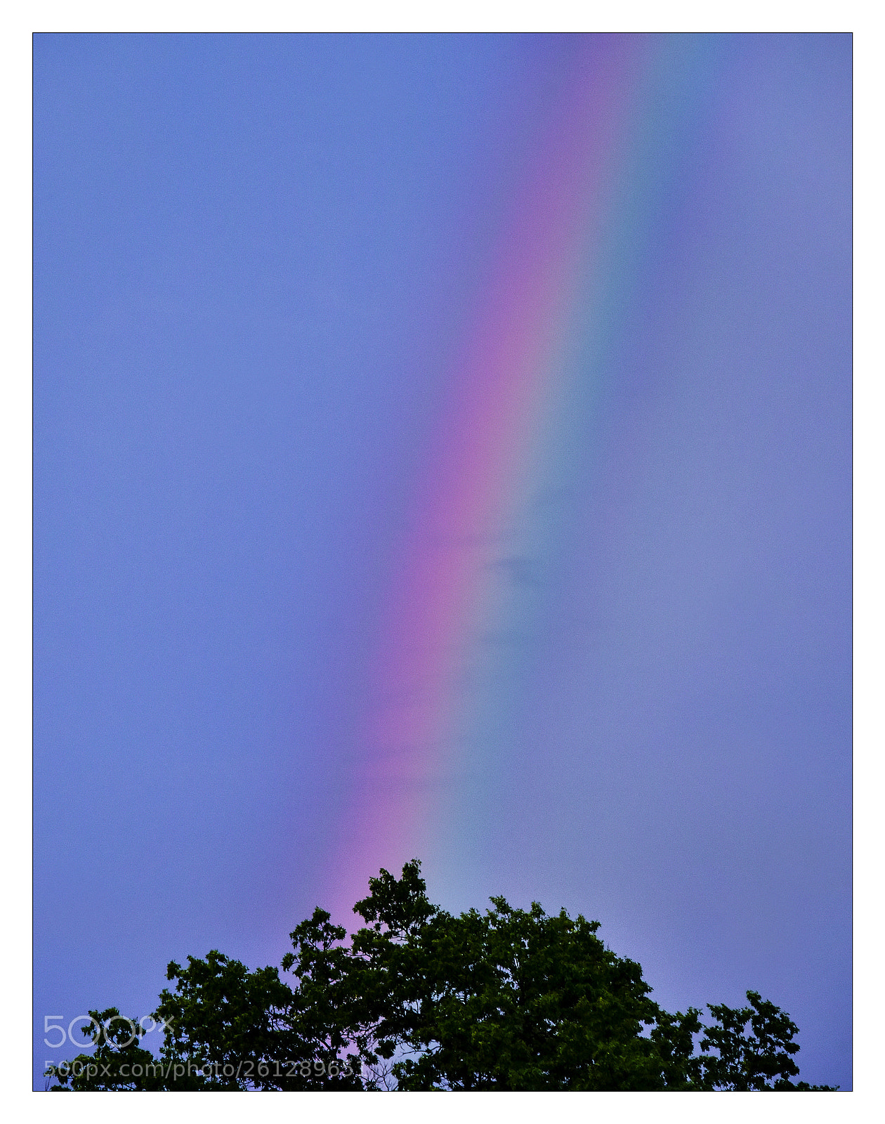 Nikon D810 sample photo. R photography