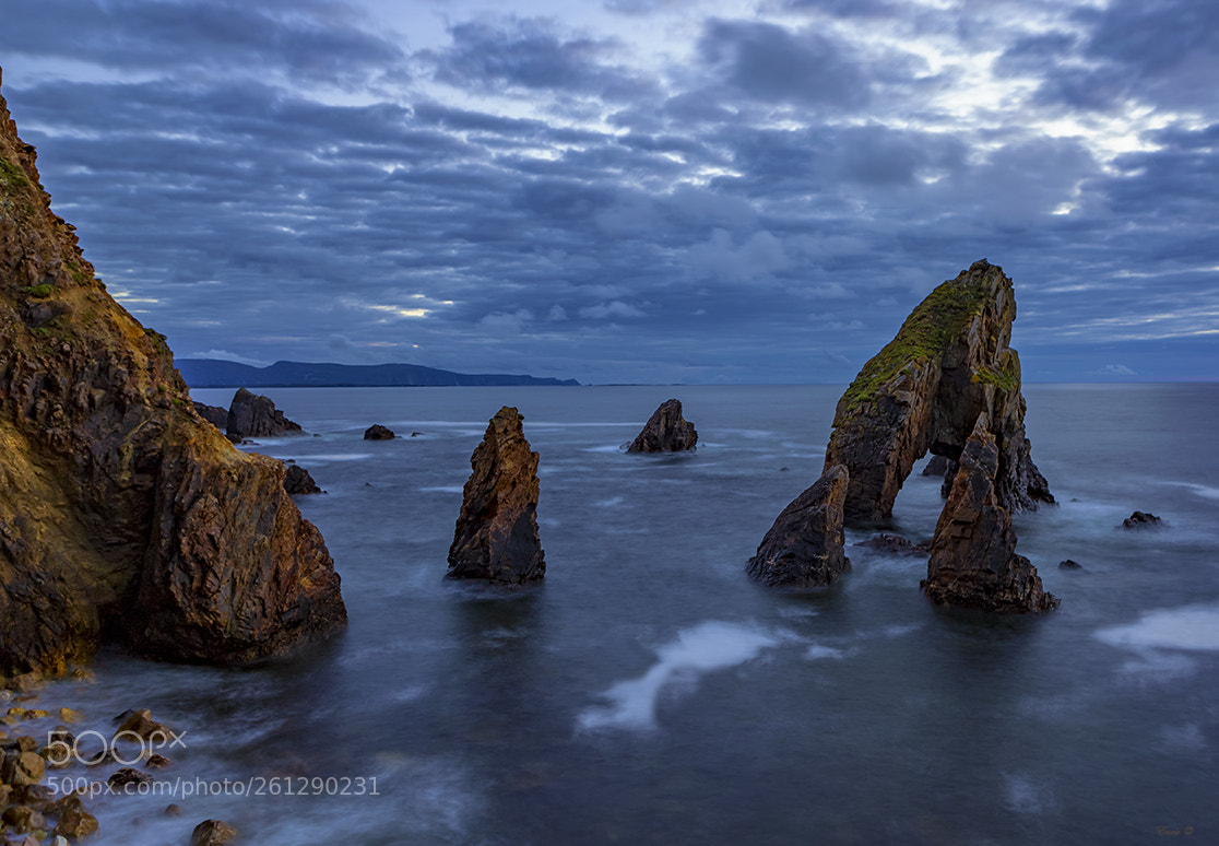 Canon EOS 5D Mark II sample photo. Crohy head photography