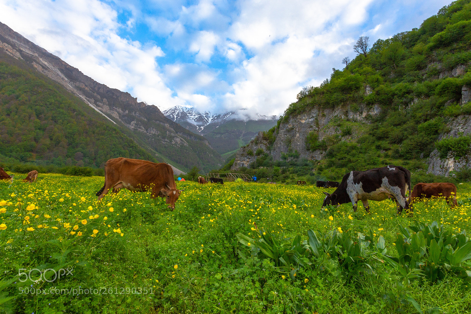Canon EOS 6D sample photo. Darya sar, mazandaran photography
