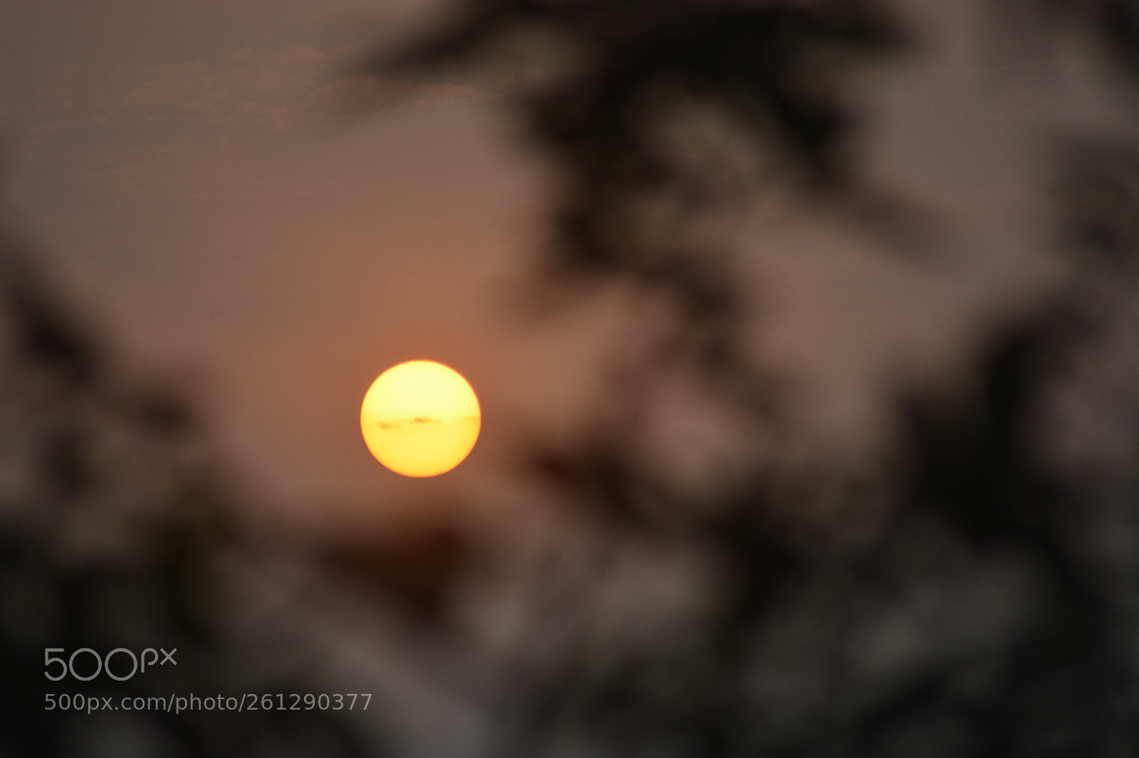 Nikon D5200 sample photo. Untitled photography