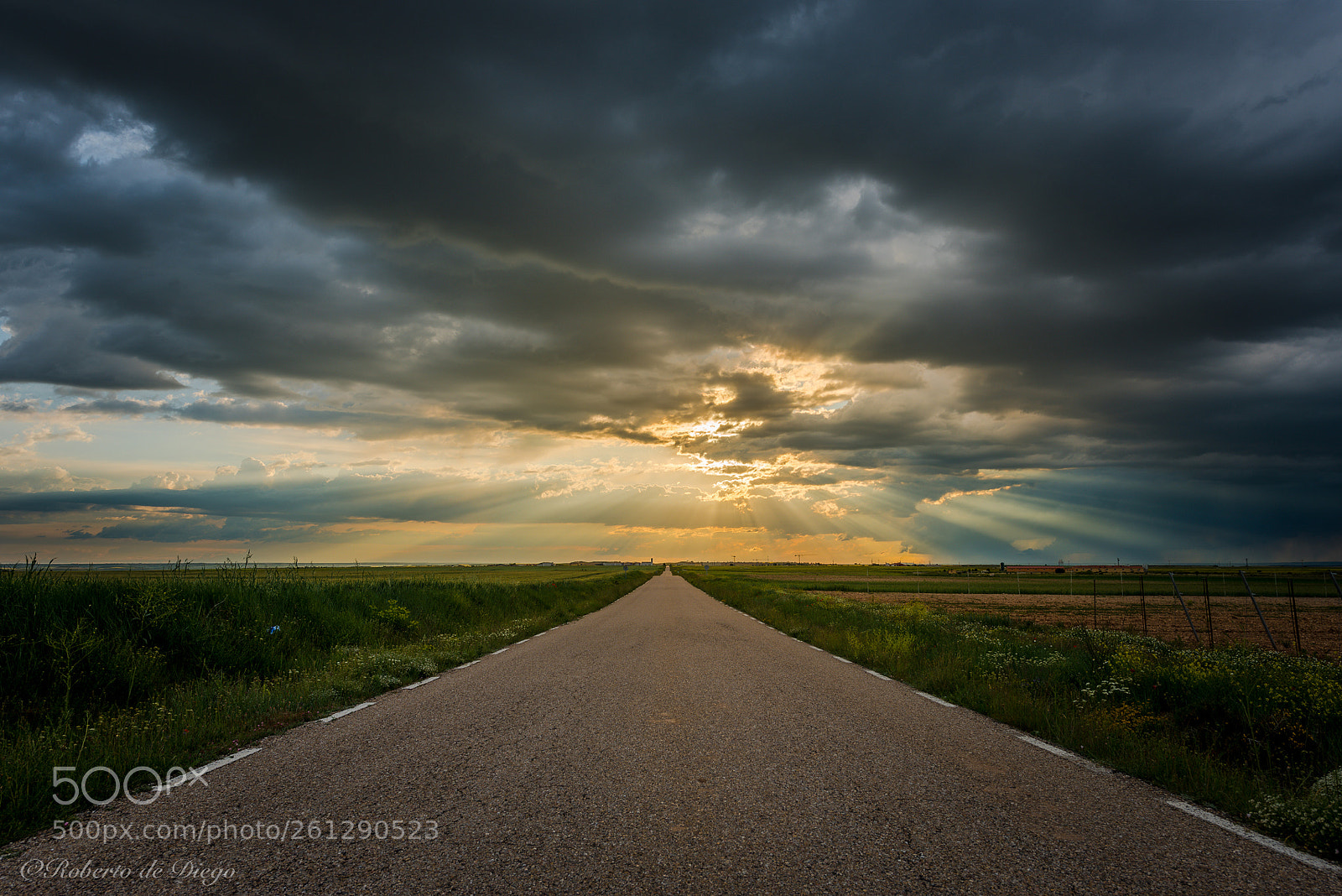 Nikon D750 sample photo. Camino a la luz. photography