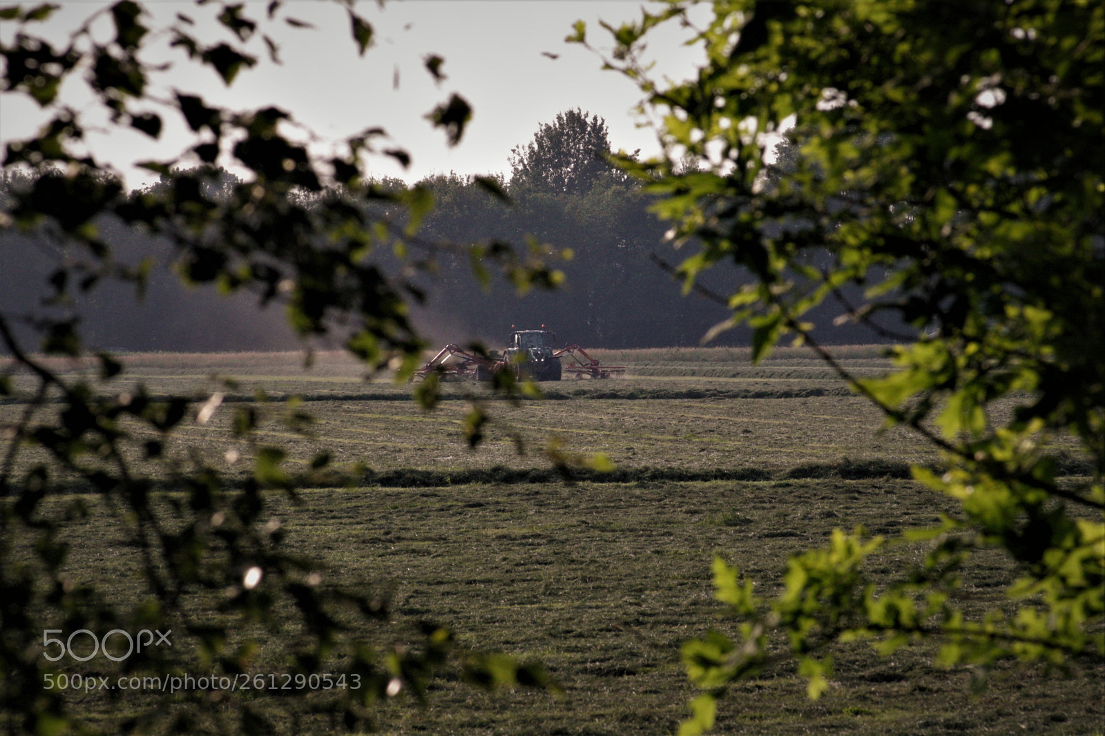 Canon EOS 1000D (EOS Digital Rebel XS / EOS Kiss F) sample photo. Summerview of farming photography