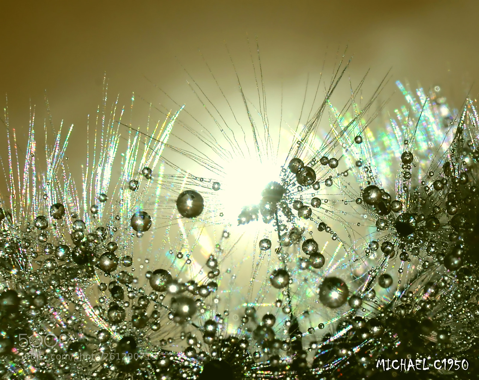 Nikon D3100 sample photo. The original golden shower photography