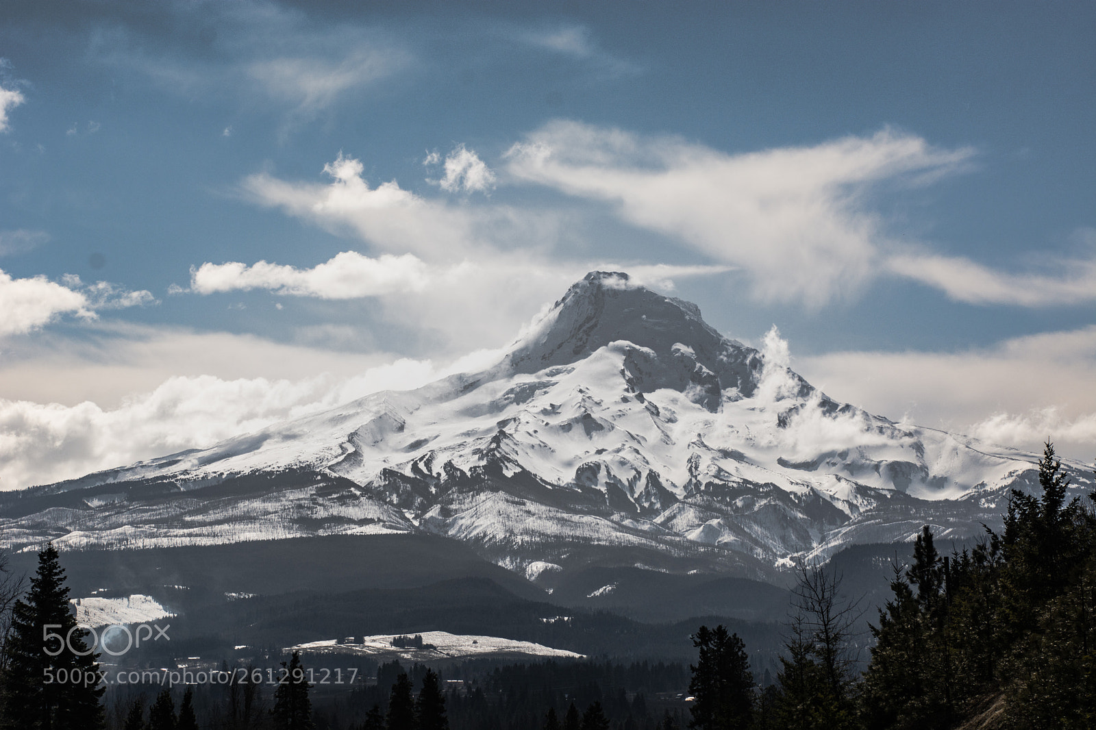 Nikon D7100 sample photo. Among giants photography