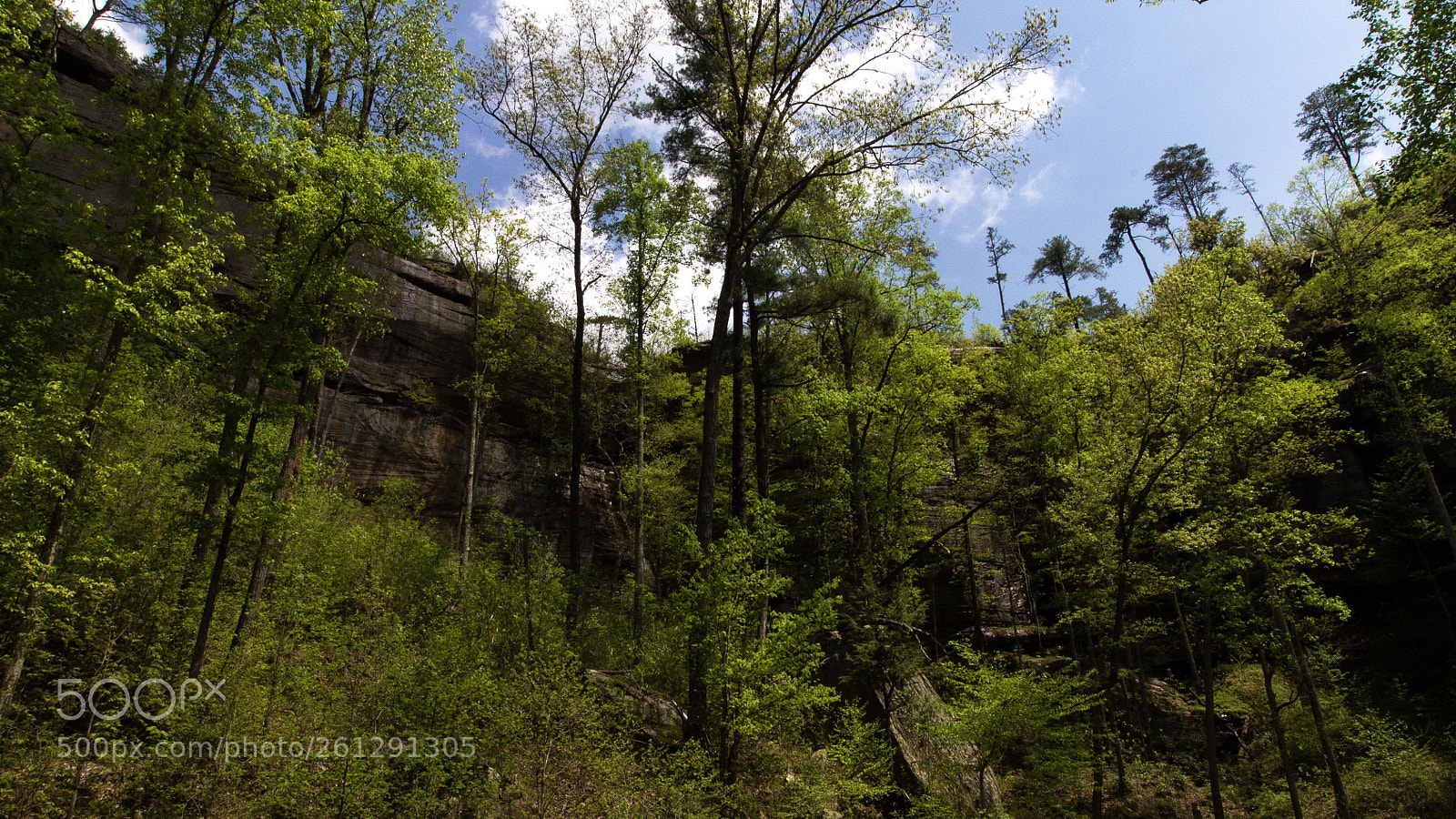 Canon EOS 1100D (EOS Rebel T3 / EOS Kiss X50) sample photo. Red river gorge photography