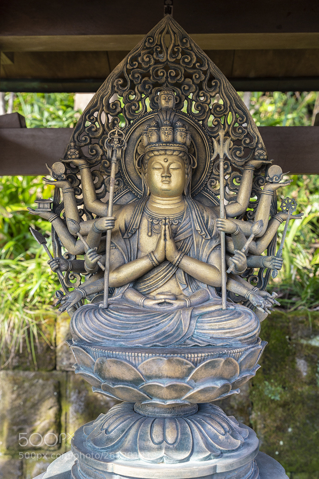 Canon EOS 6D sample photo. In hasedera photography