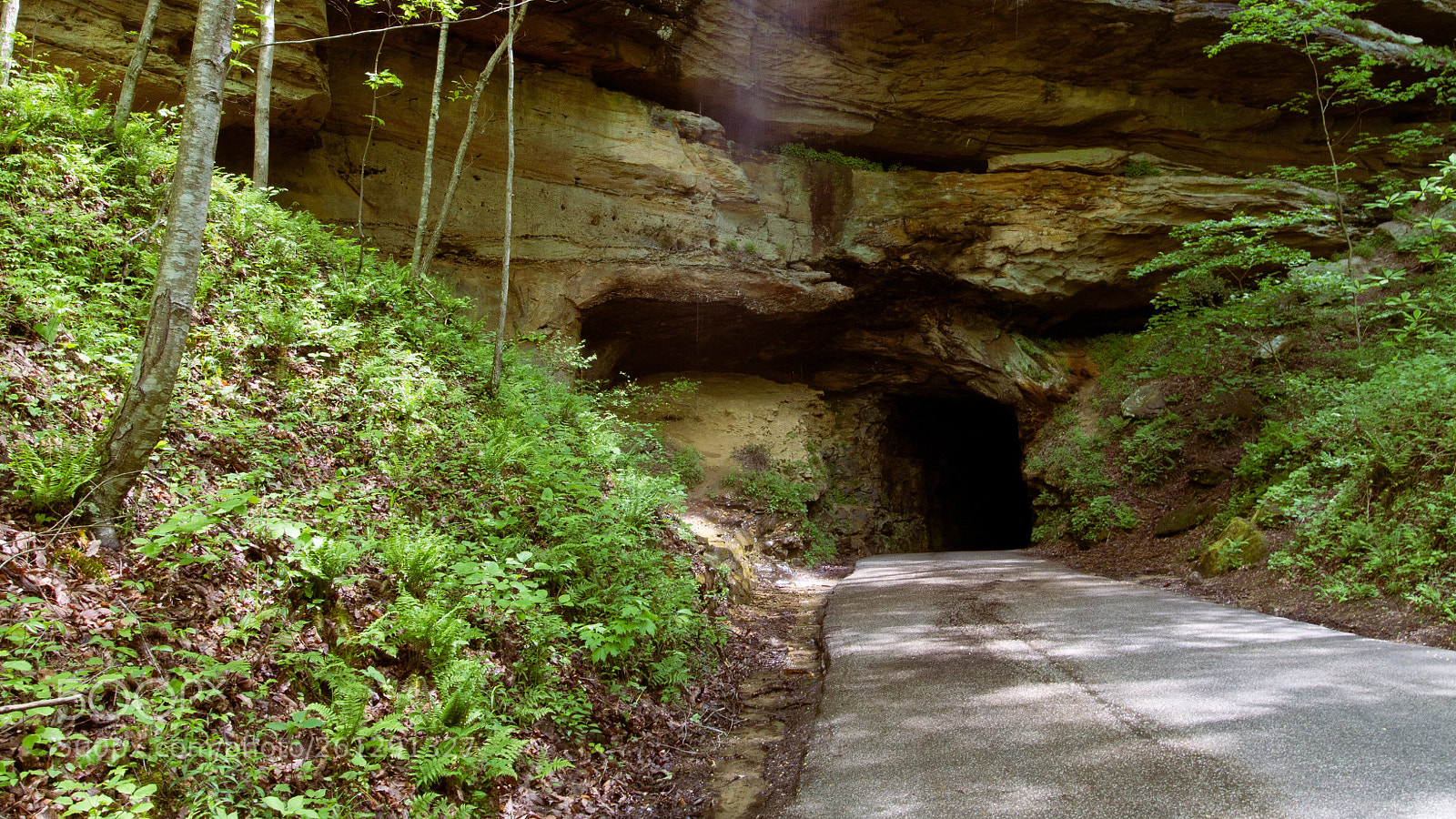 Canon EOS 1100D (EOS Rebel T3 / EOS Kiss X50) sample photo. Red river gorge photography