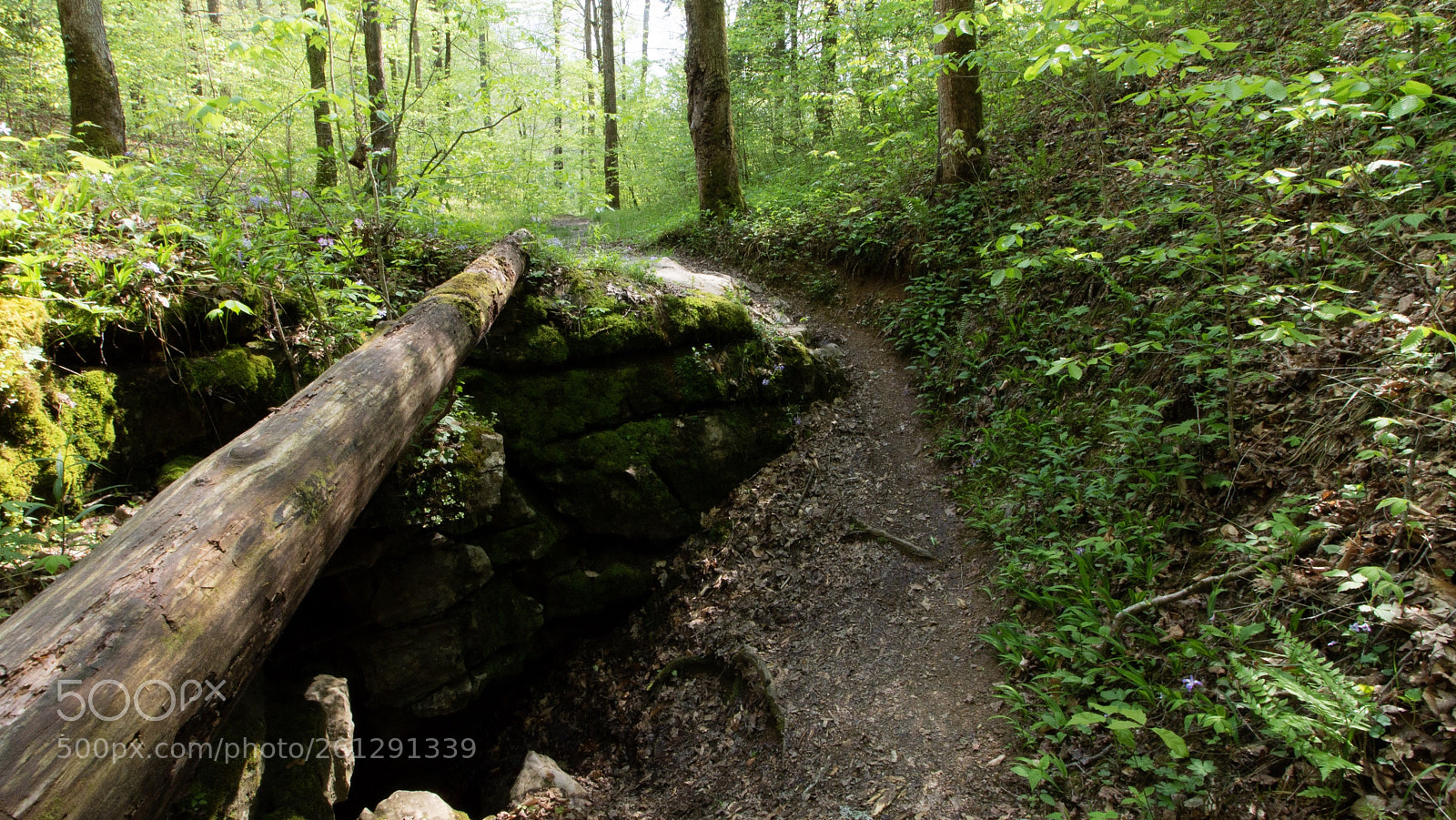 Canon EOS 1100D (EOS Rebel T3 / EOS Kiss X50) sample photo. Red river gorge photography