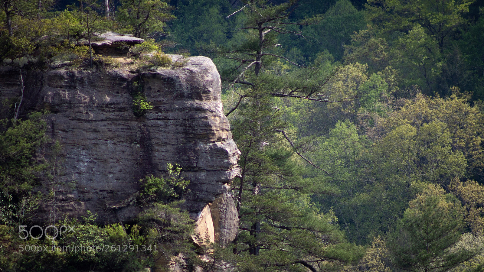 Canon EOS 1100D (EOS Rebel T3 / EOS Kiss X50) sample photo. Red river gorge cliff photography