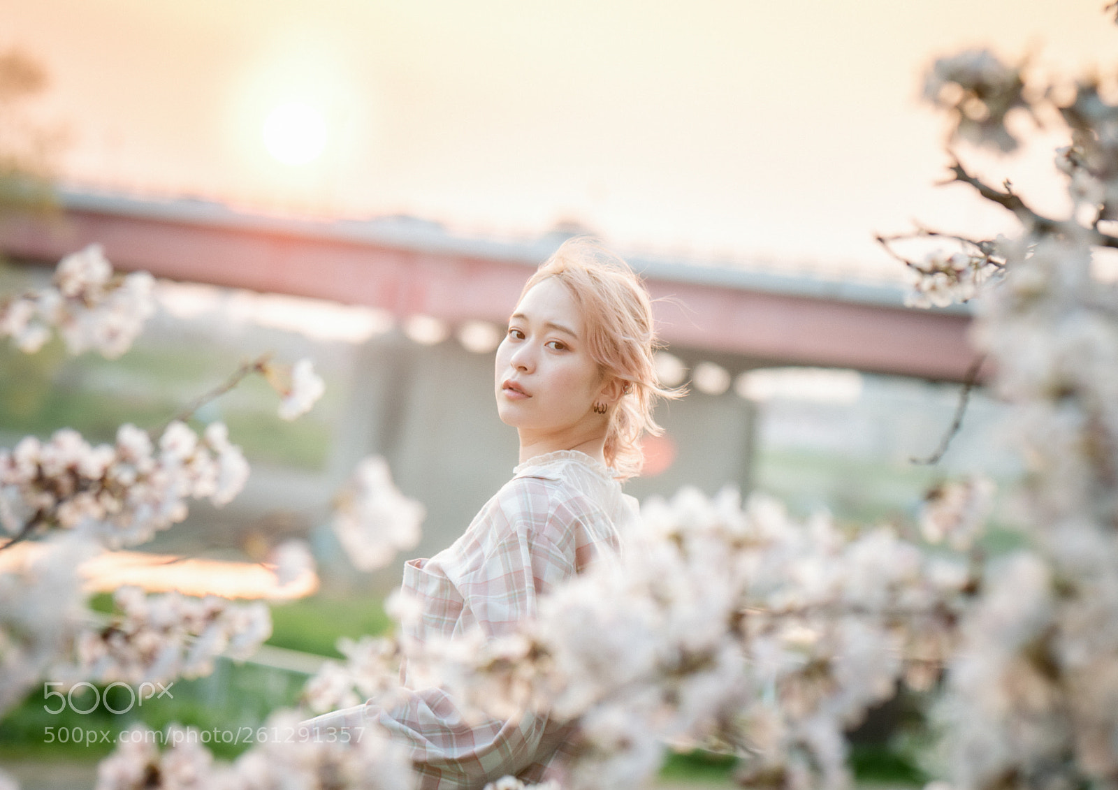 Nikon D750 sample photo. Sakura spring photography
