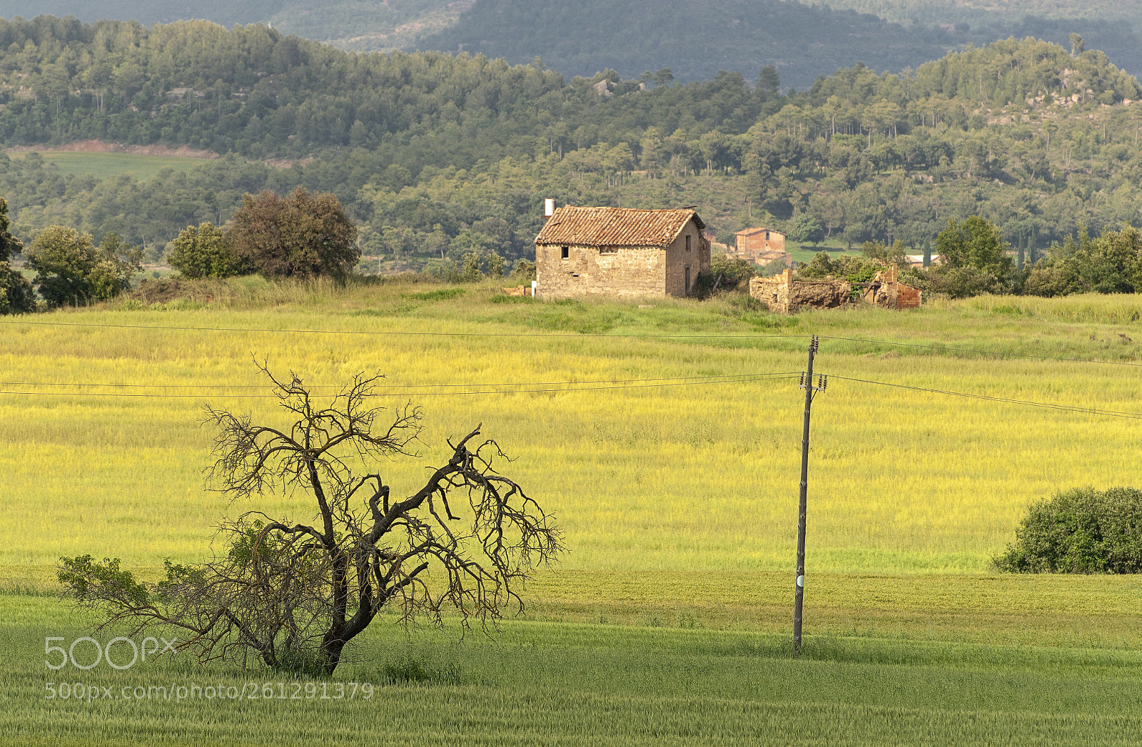 Nikon D300 sample photo. Rural landscape photography