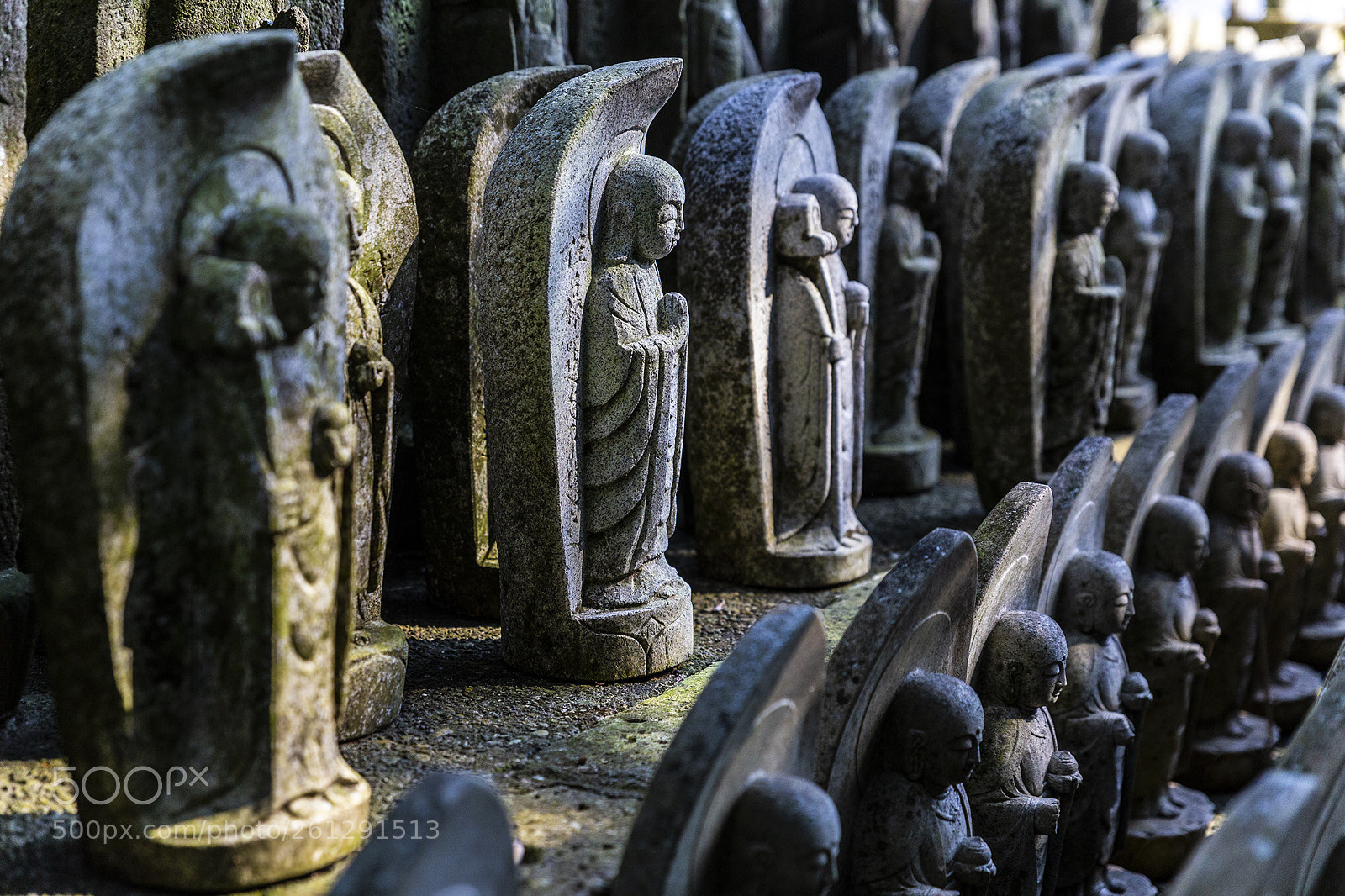 Canon EOS 6D sample photo. In hasedera photography
