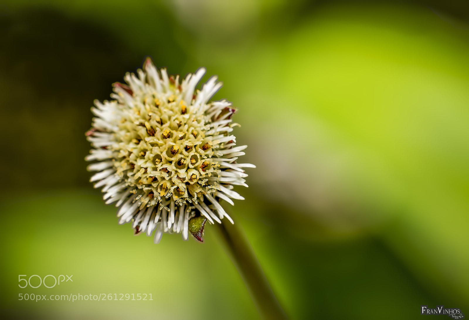 Canon EOS 70D sample photo. Untitled photography