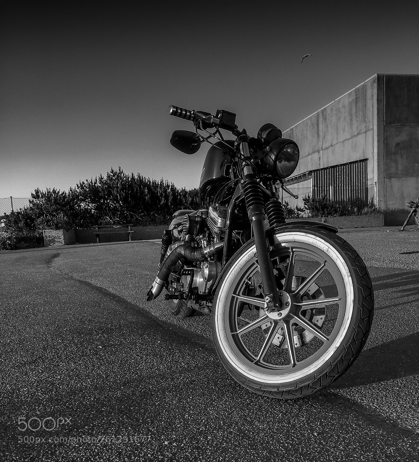 Apple iPhone 6 sample photo. Evening ride photography