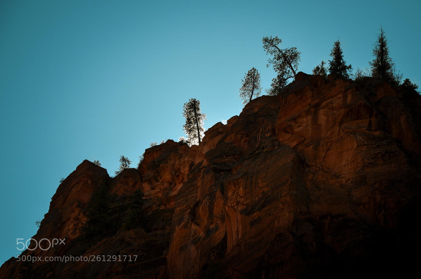 Nikon D5100 sample photo. Zion national park photography