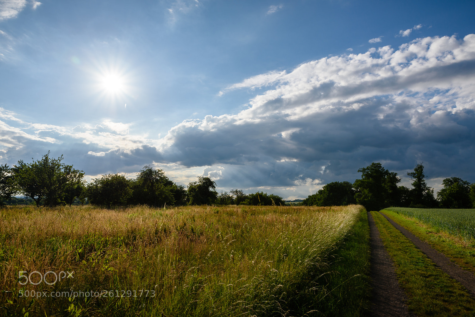 Nikon D750 sample photo. Abendspaziergang photography