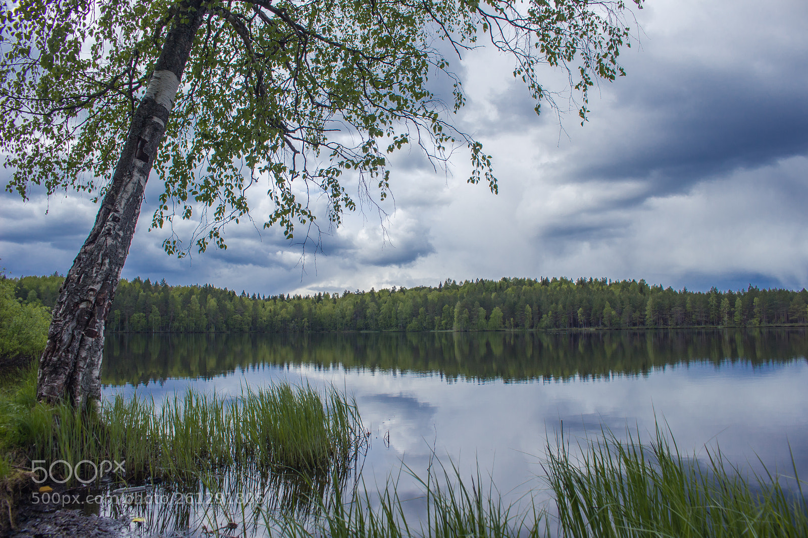 Canon EOS 700D (EOS Rebel T5i / EOS Kiss X7i) sample photo. Forest lake photography
