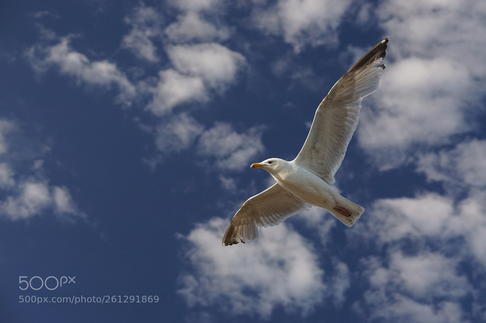 Sony a6000 sample photo. Dsc photography