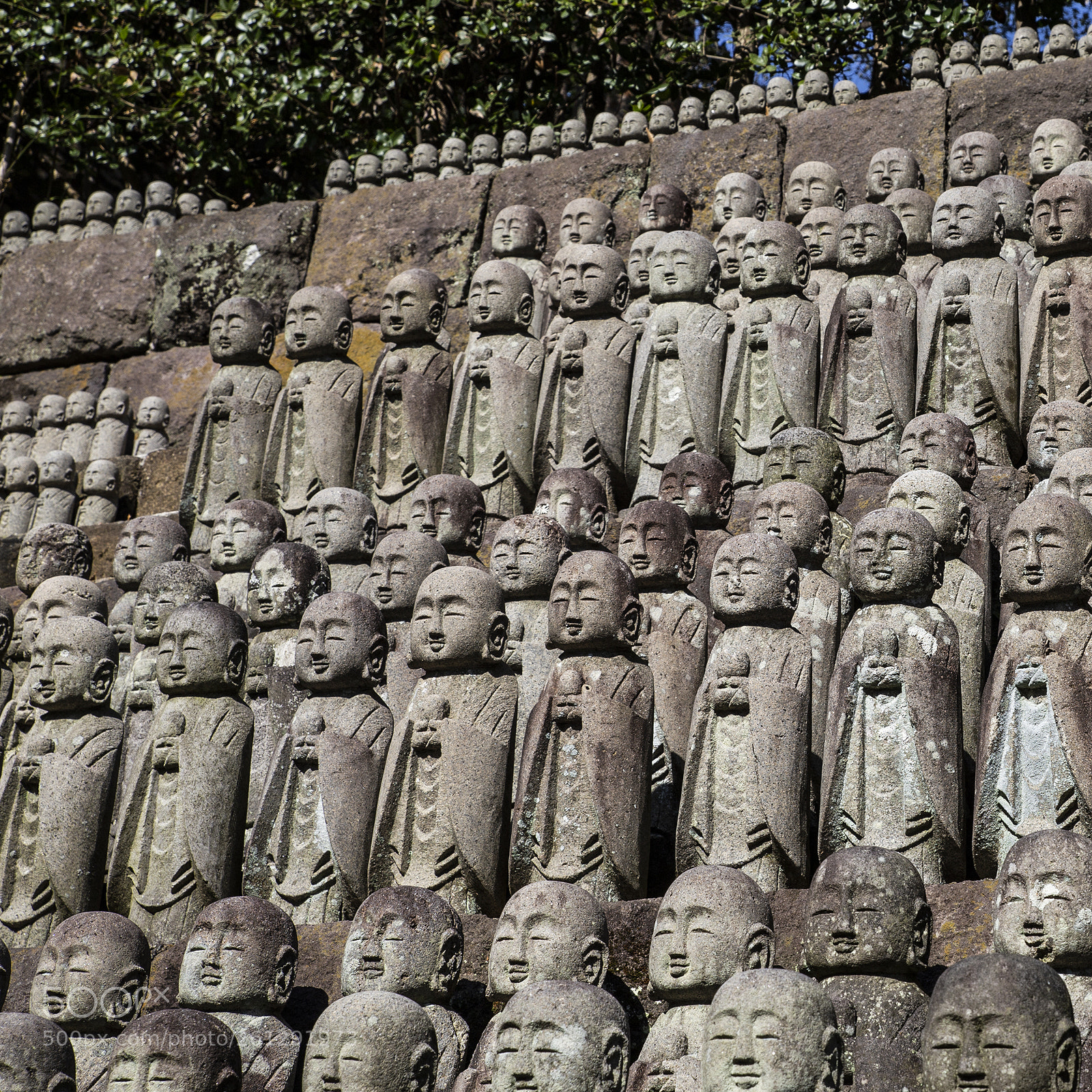 Canon EOS 6D sample photo. Hasedera photography