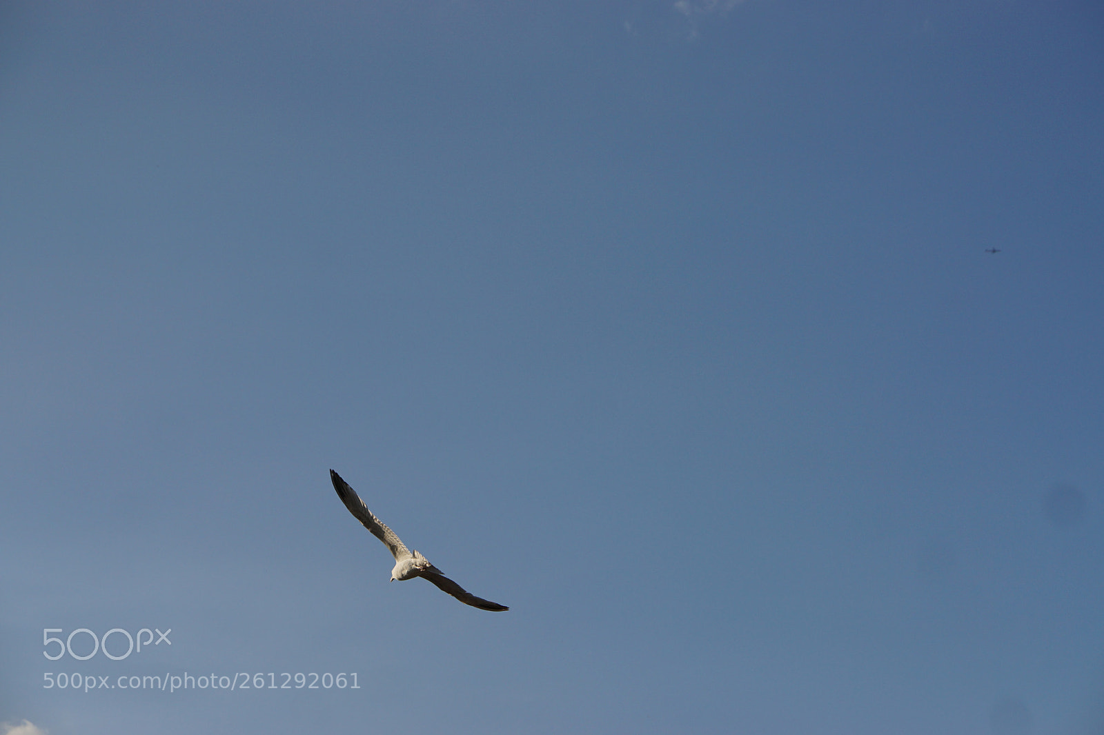 Sony a6000 sample photo. Dsc photography