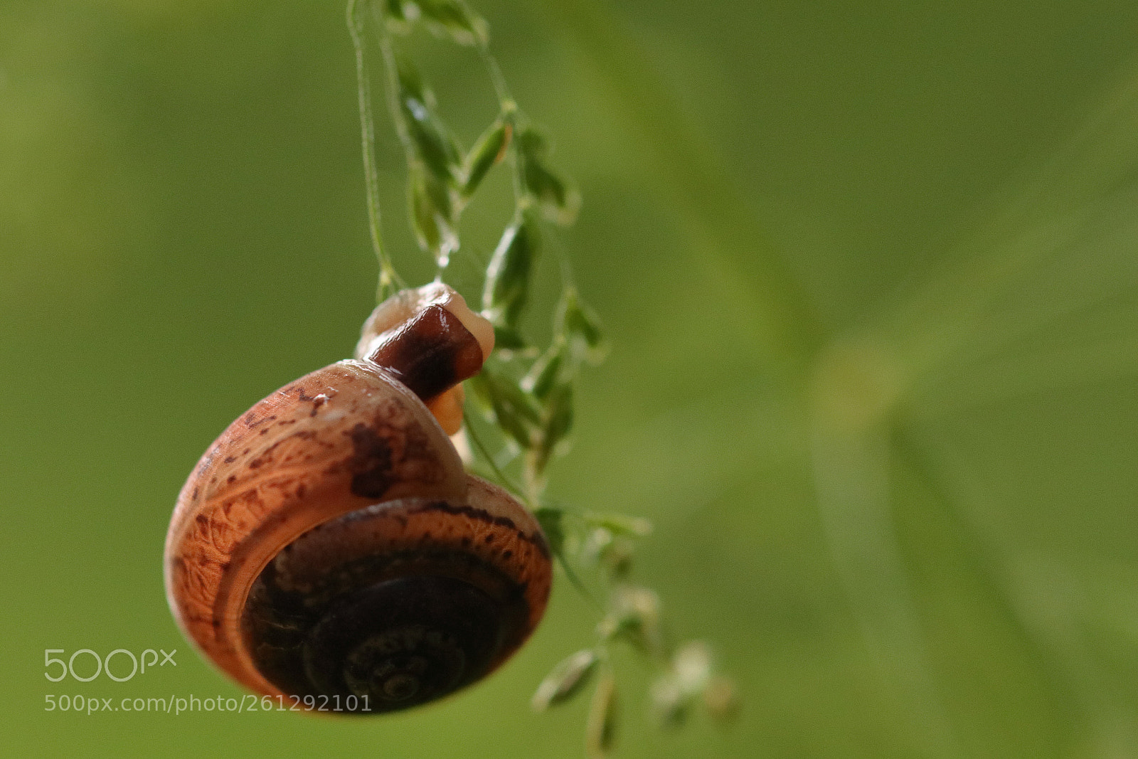 Canon EOS 77D (EOS 9000D / EOS 770D) sample photo. Suspended house! photography