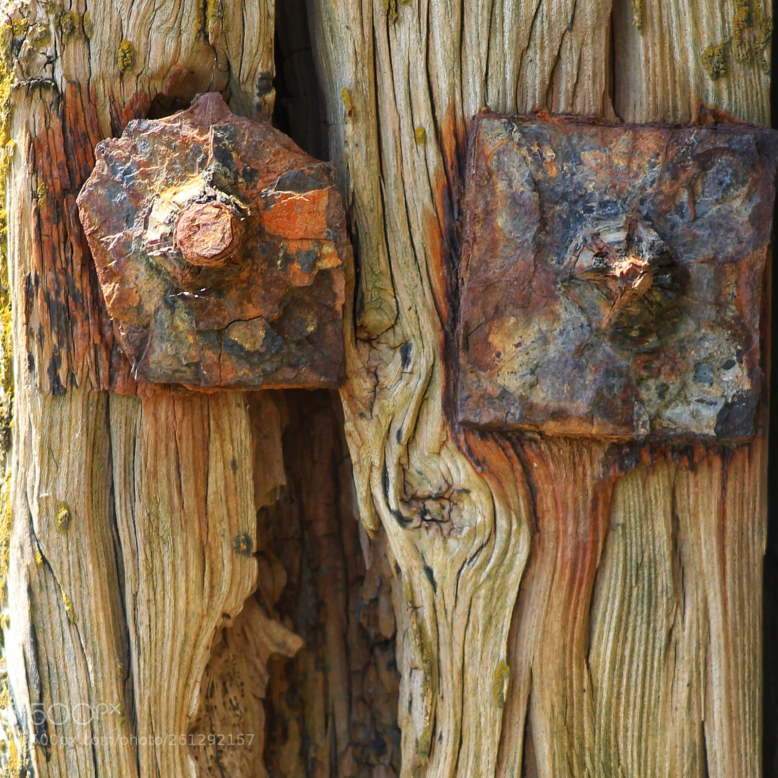 Canon EOS 1300D (EOS Rebel T6 / EOS Kiss X80) sample photo. Old bolts photography