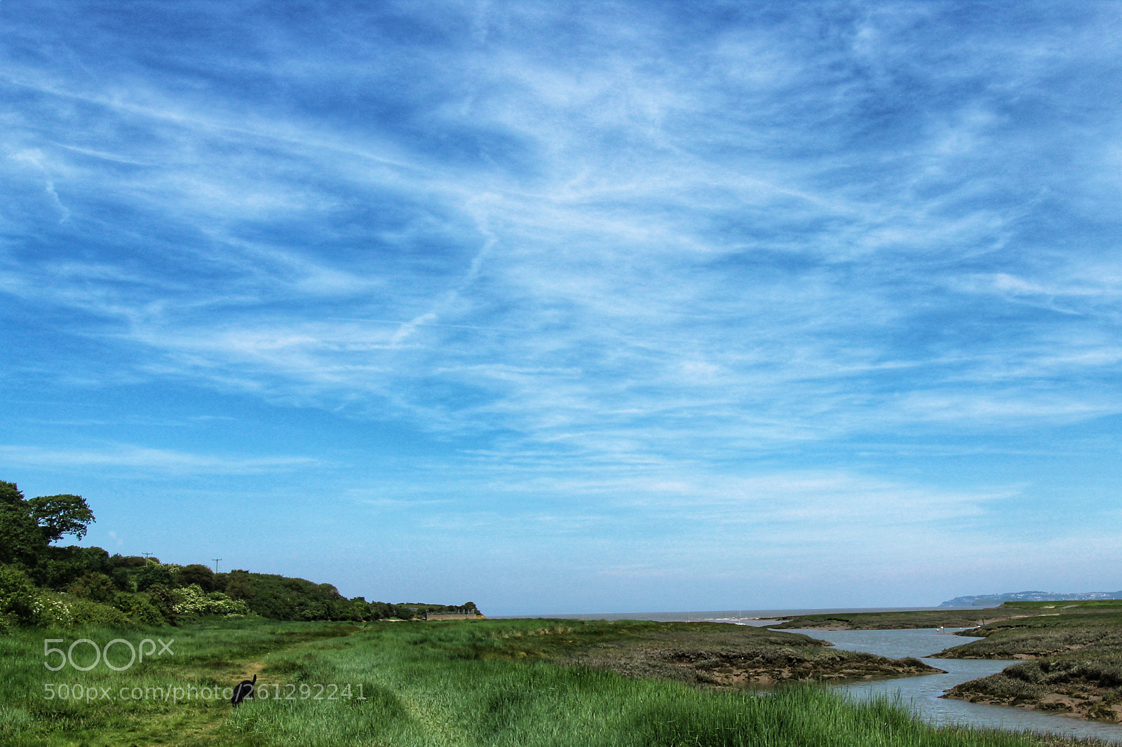 Canon EOS 1300D (EOS Rebel T6 / EOS Kiss X80) sample photo. Estuary in summer photography