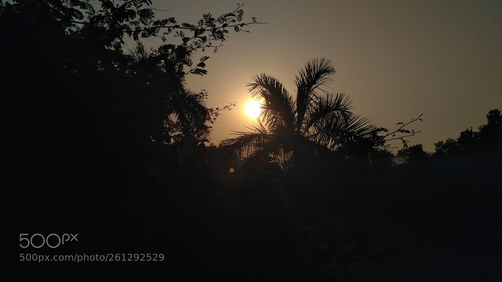 Xiaomi Redmi 3S sample photo. Shady photography